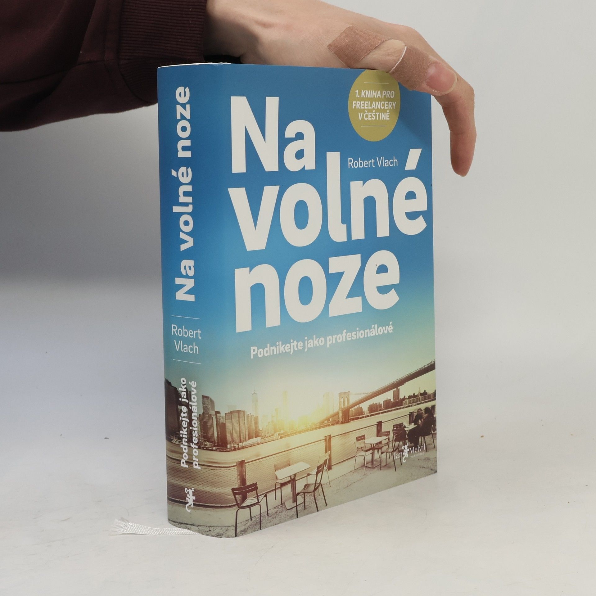Robert Vlach (podnikatel) Na volné noze
