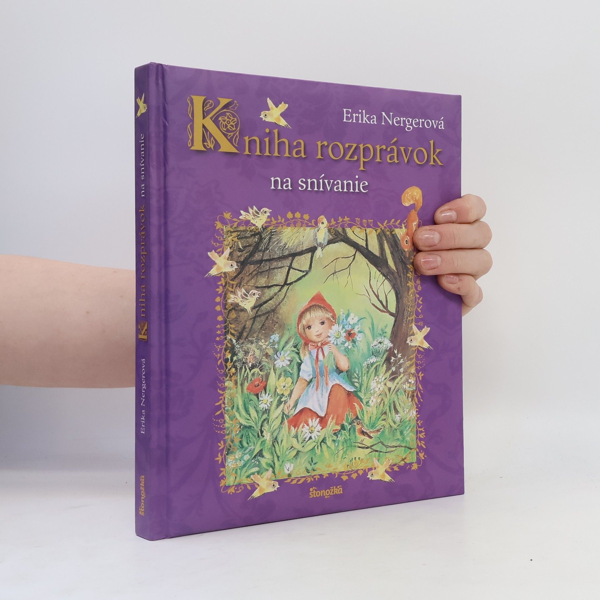 Erika Nerger Kniha rozprávok na snívanie