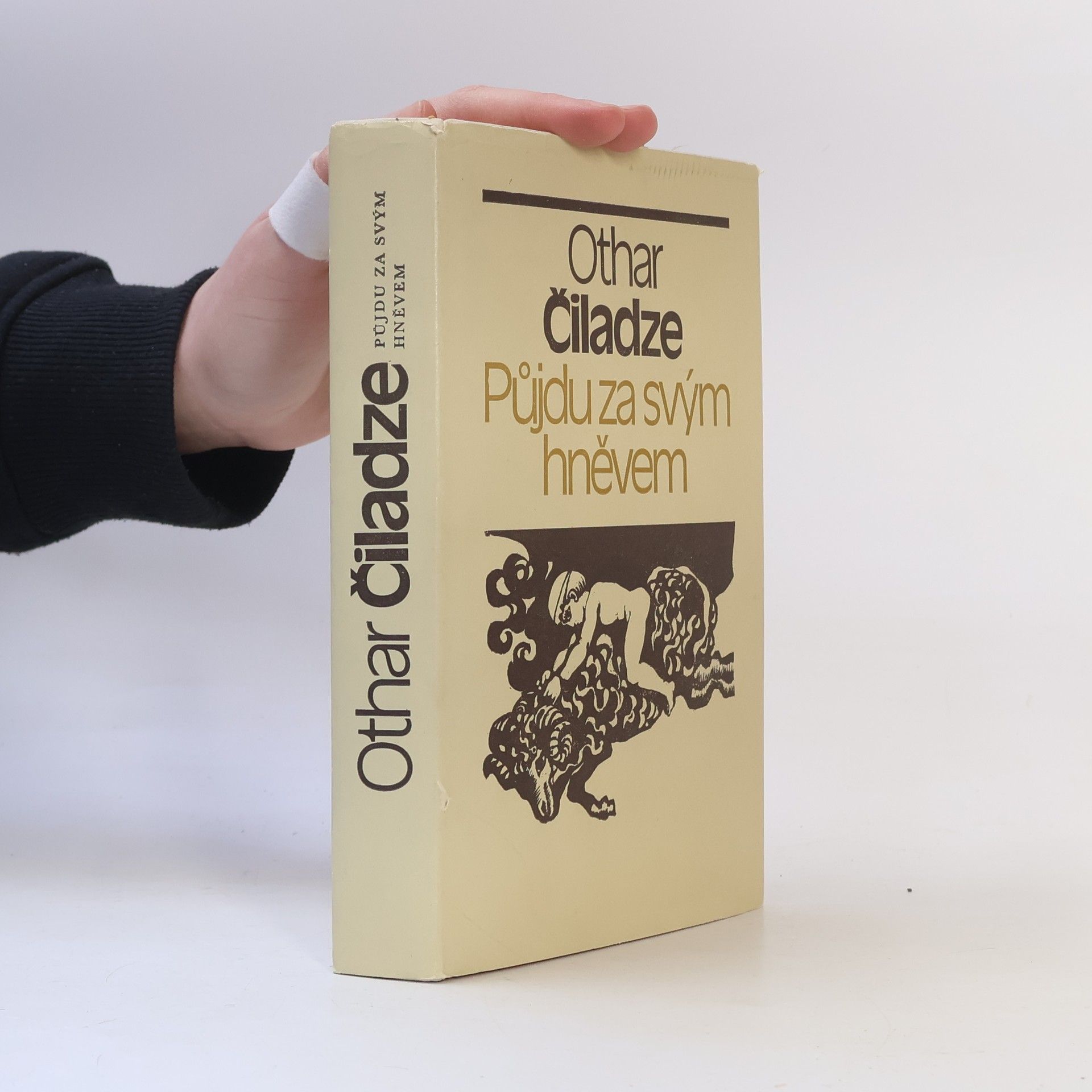 Otar Čiladze Půjdu za svým hněvem