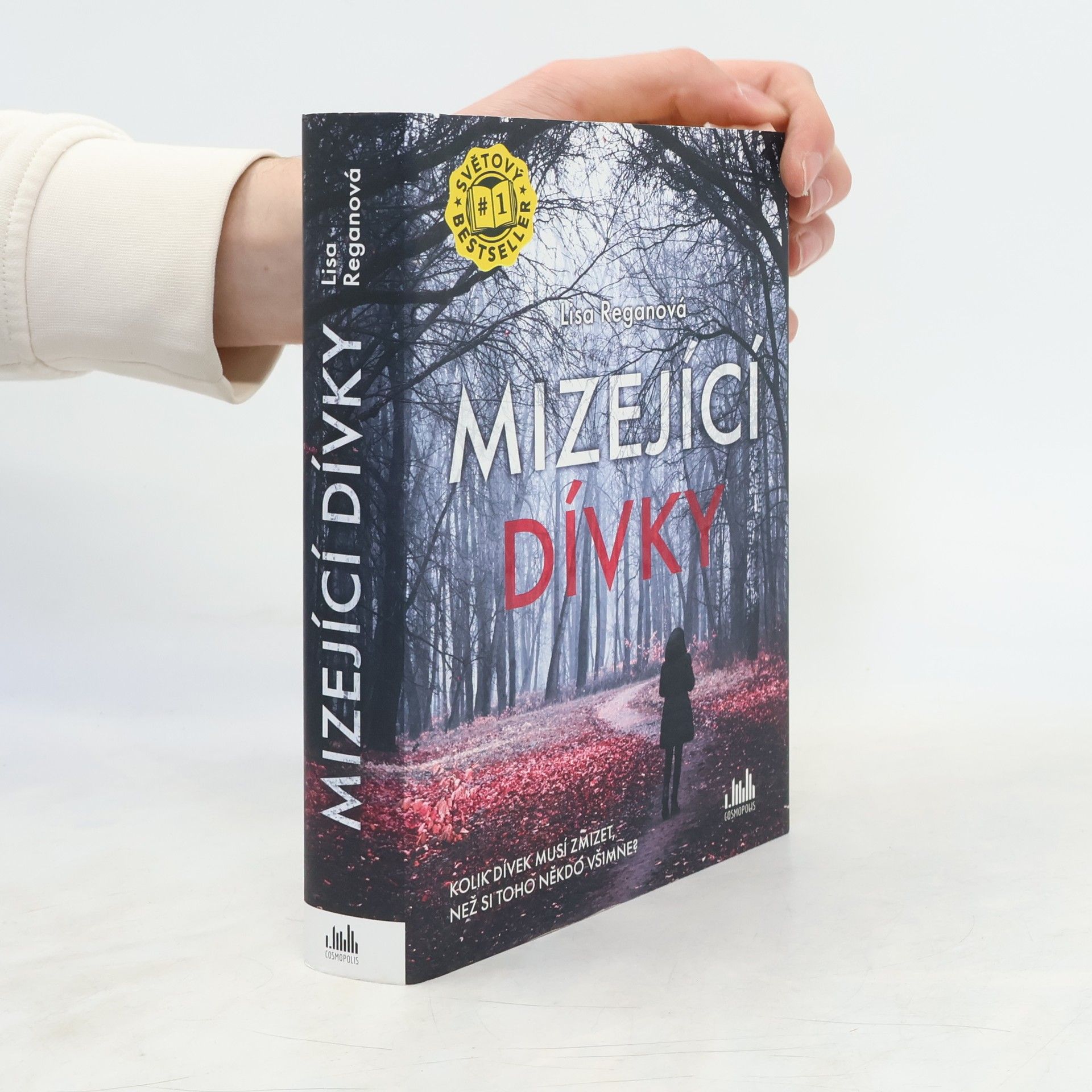 Lisa Regan Mizející dívky