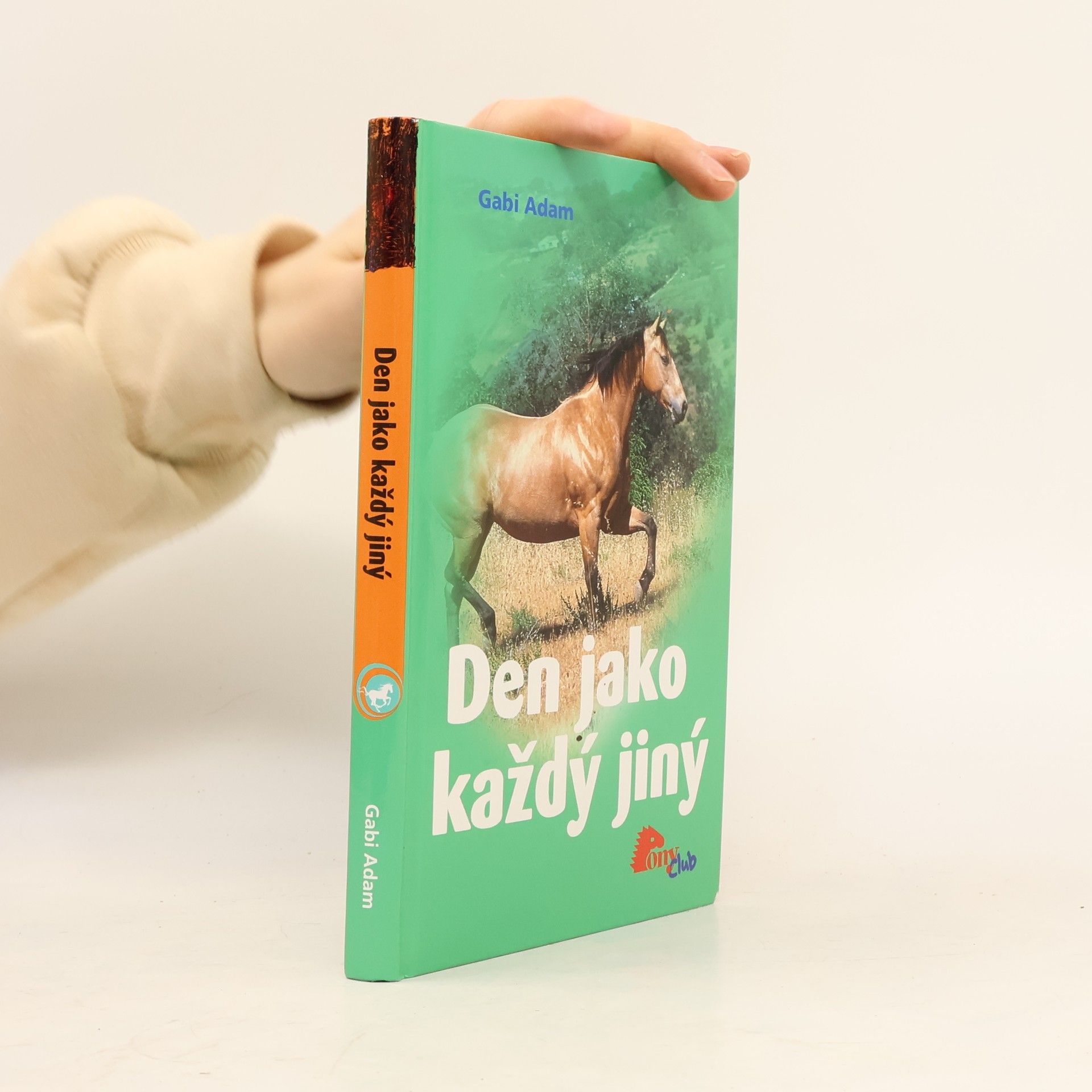 Gabi Adam Den jako každý jiný