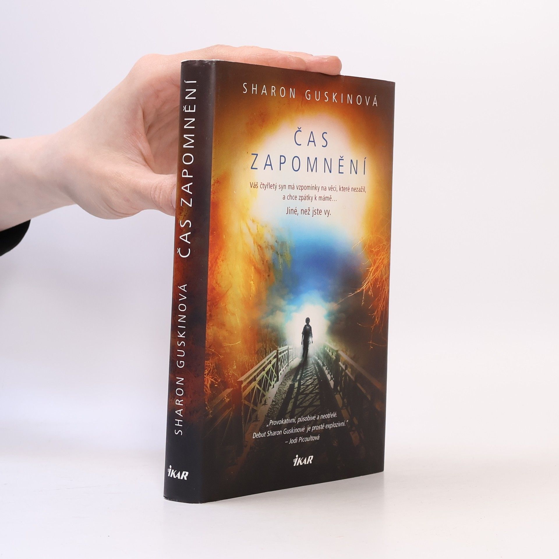 Sharon Guskin Čas zapomnění