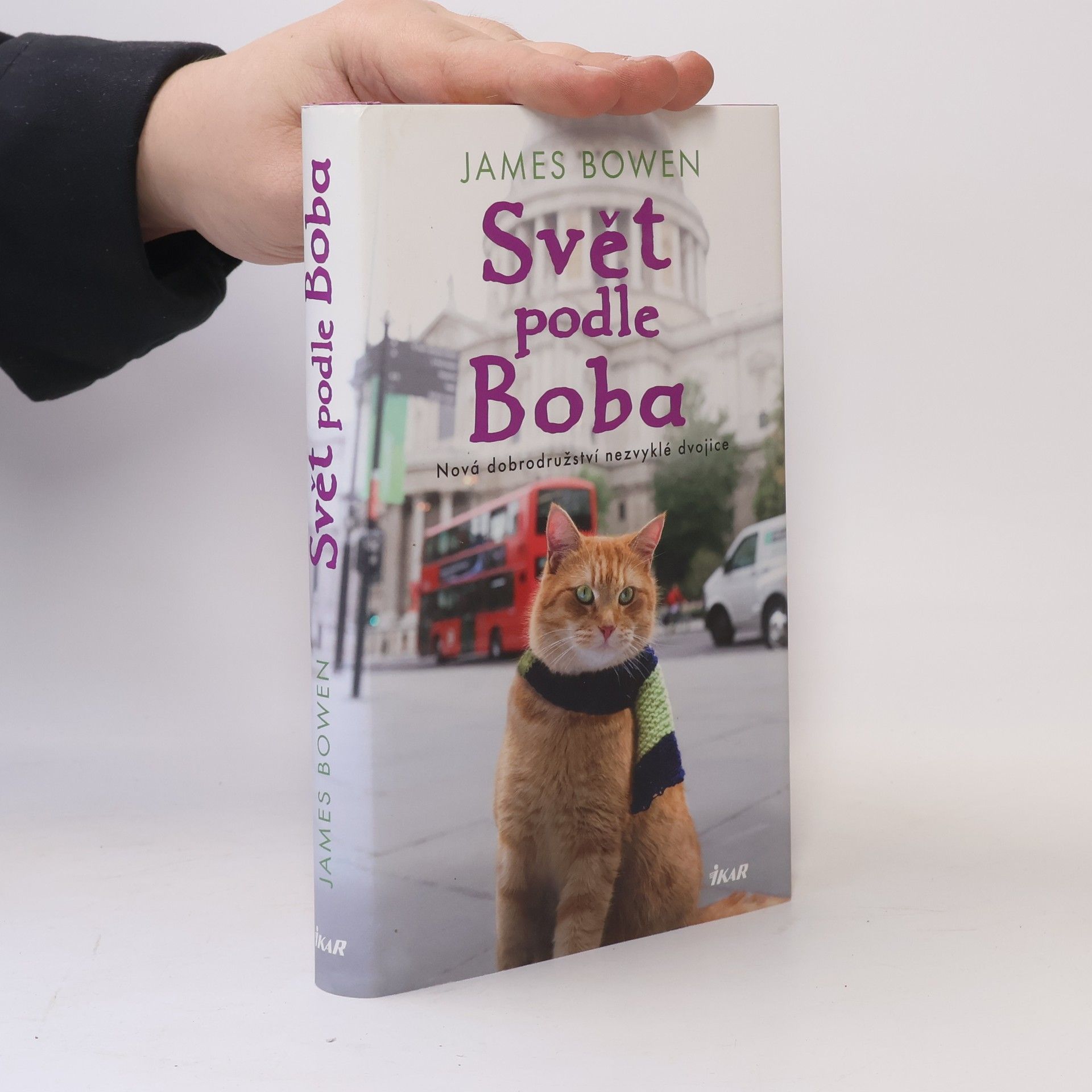 James Bowen Svět podle Boba