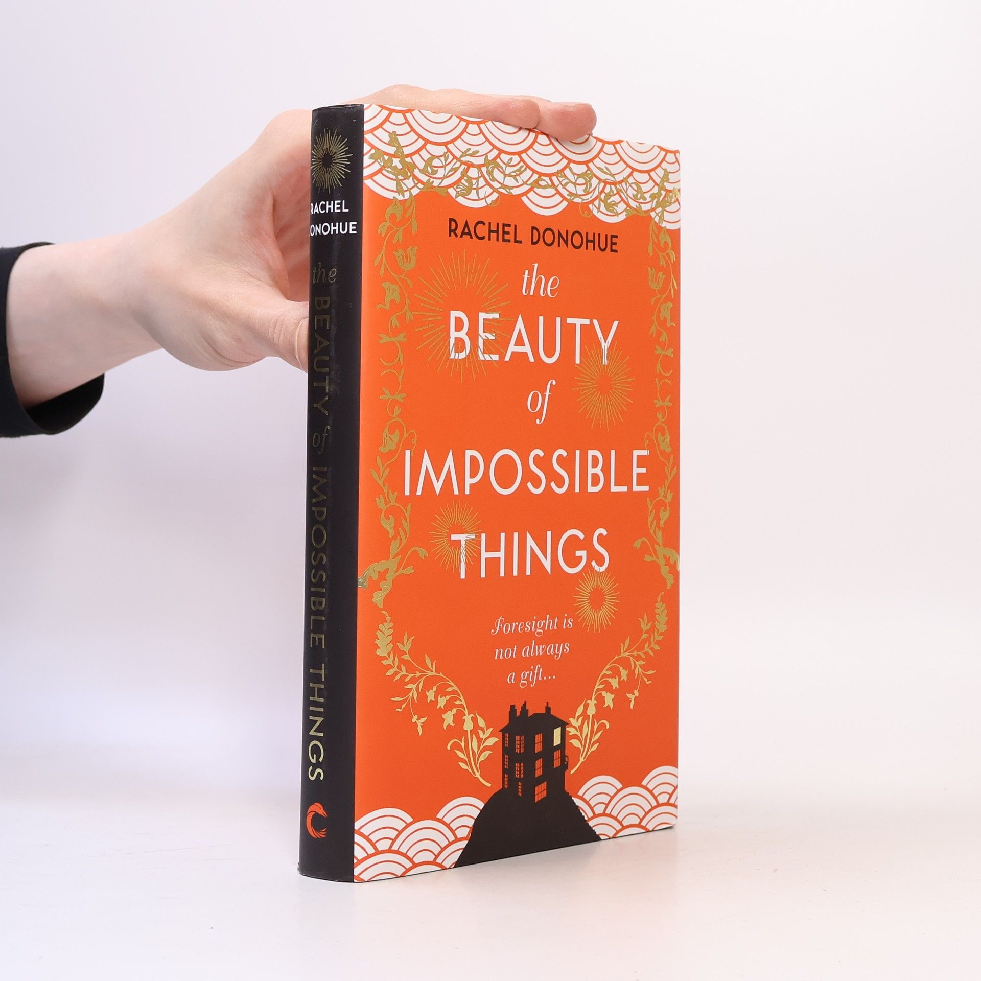 Rachel Donohue The Beauty of Impossible Things