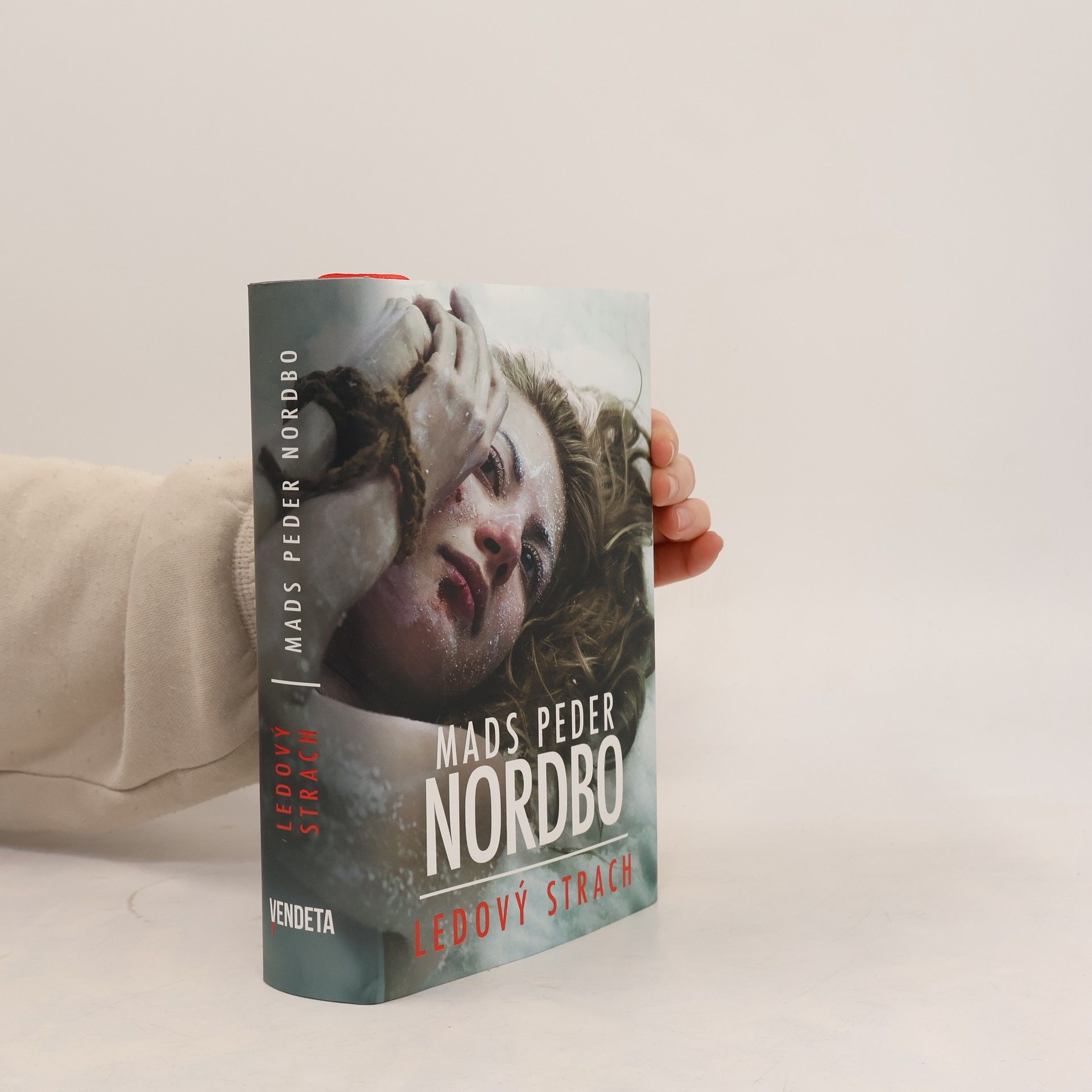 Mads Peder Nordbo Ledový strach