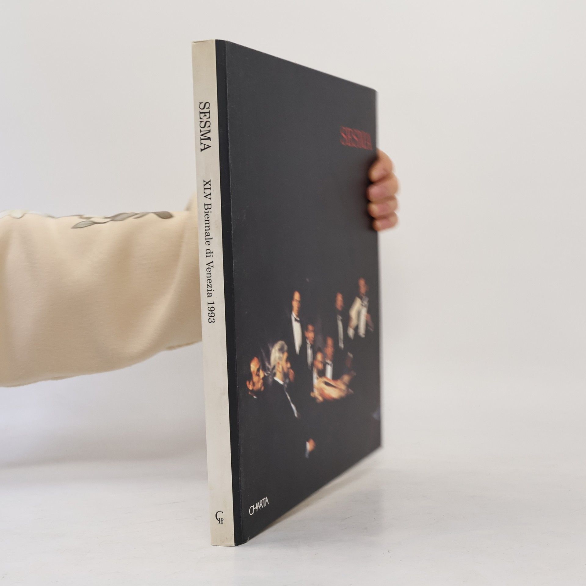 Raymundo Sesma XLV Biennale di Venezia 1993