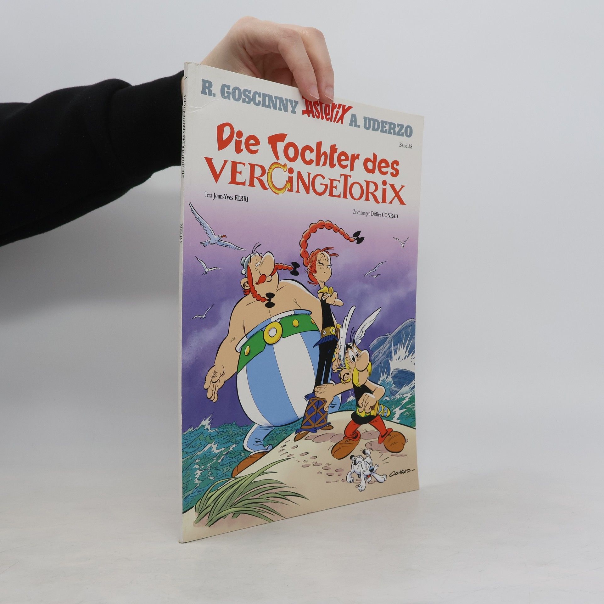 Jean-Yves Ferri Die Tochter des Vercingetorix