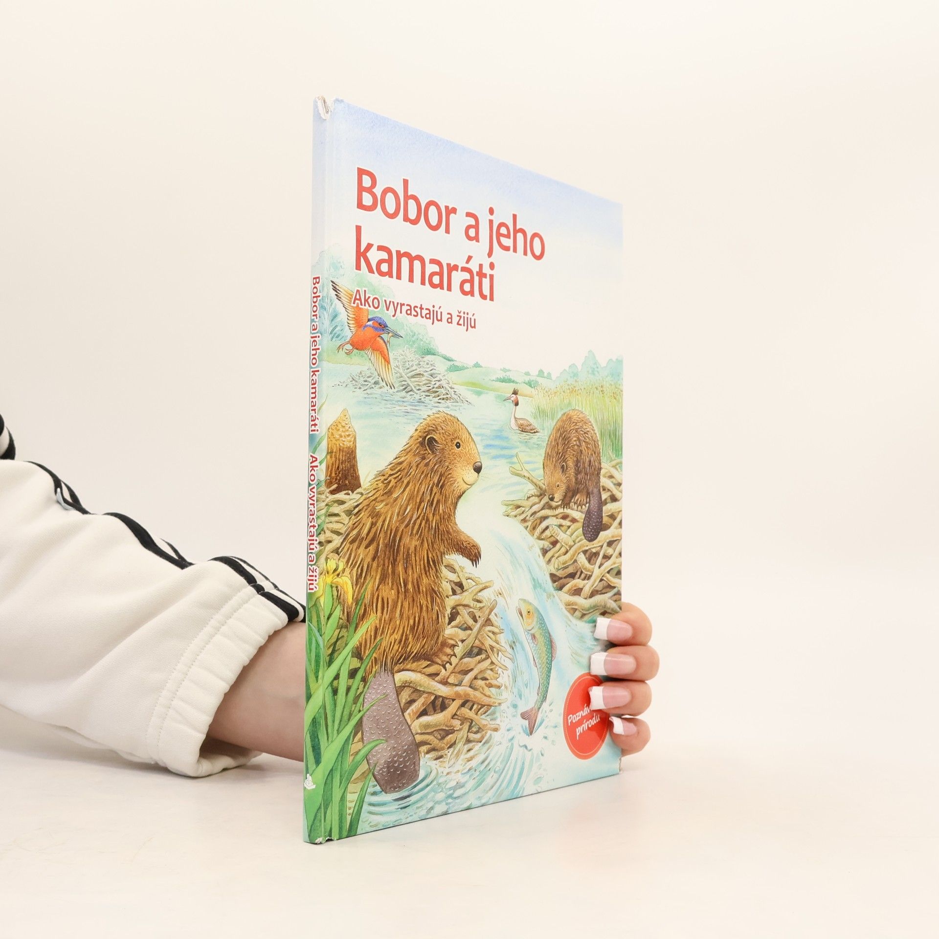 Various authors Bobor a jeho kamaráti