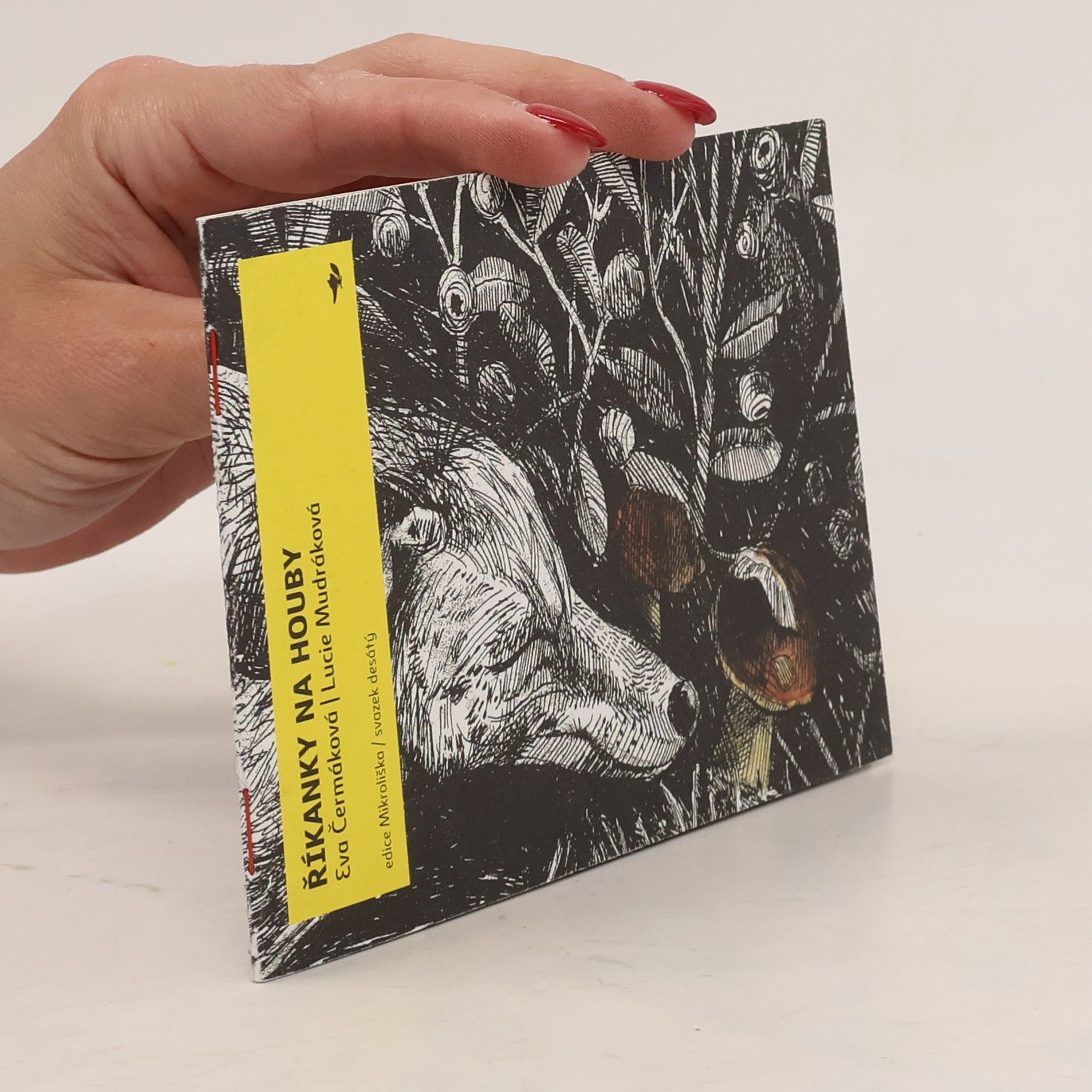 Eva Čermáková Říkanky na houby