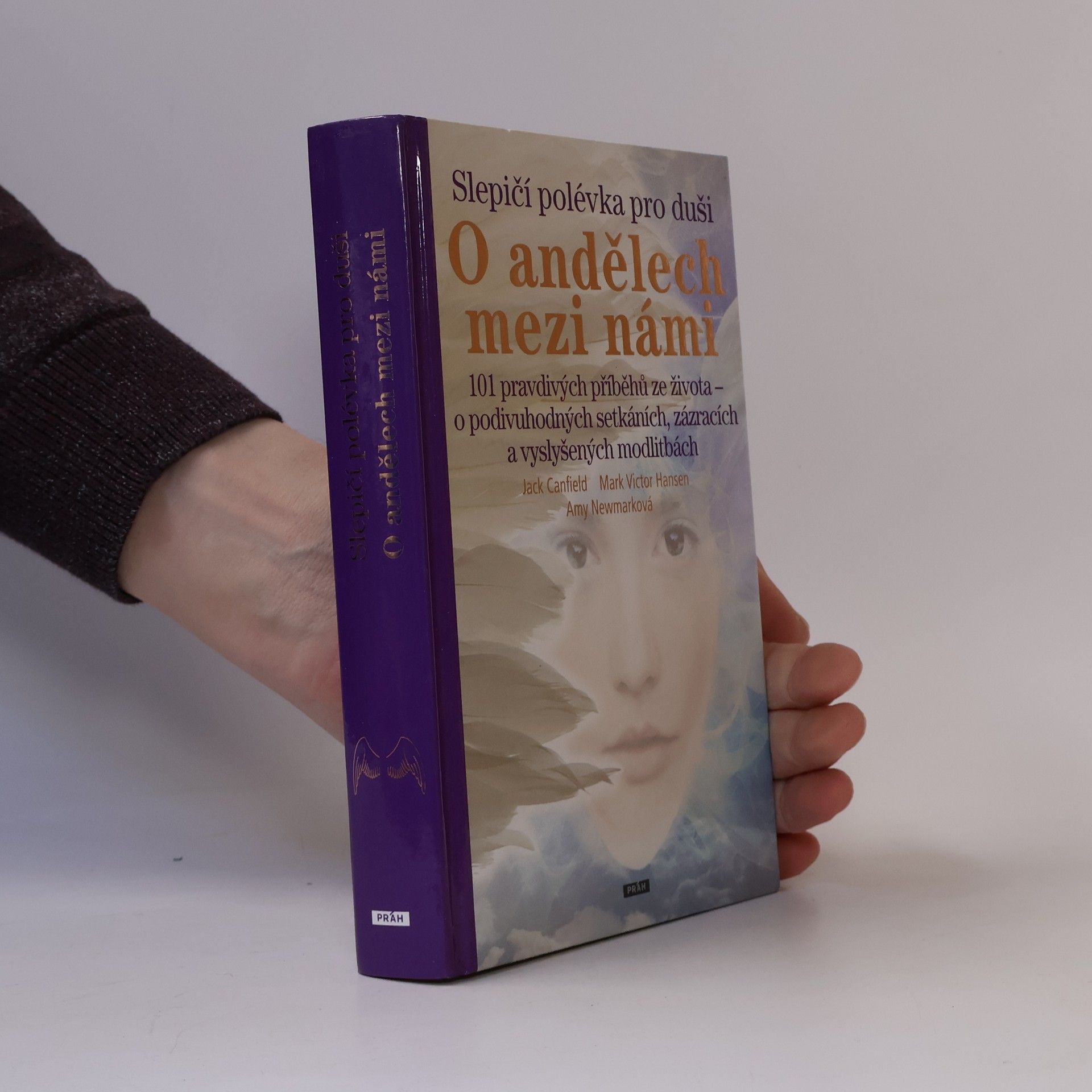 Amy Newmark Slepičí polévka pro duši - o andělech mezi námi