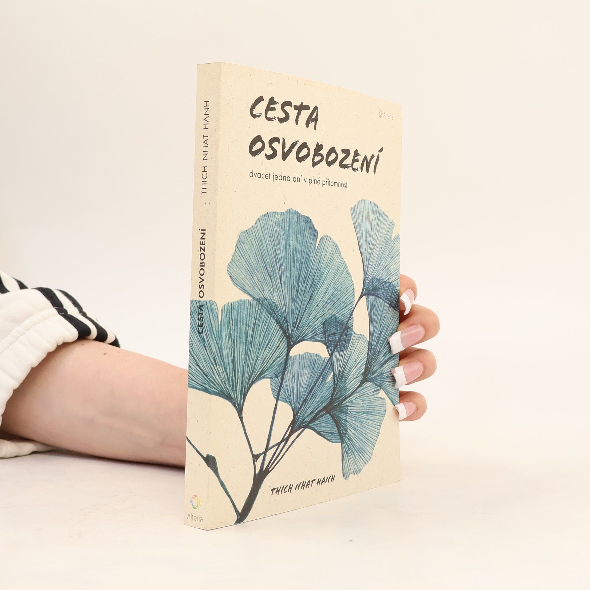 Iva Prokopová Cesta osvobození : dvacet jedna dní v plné přítomnosti