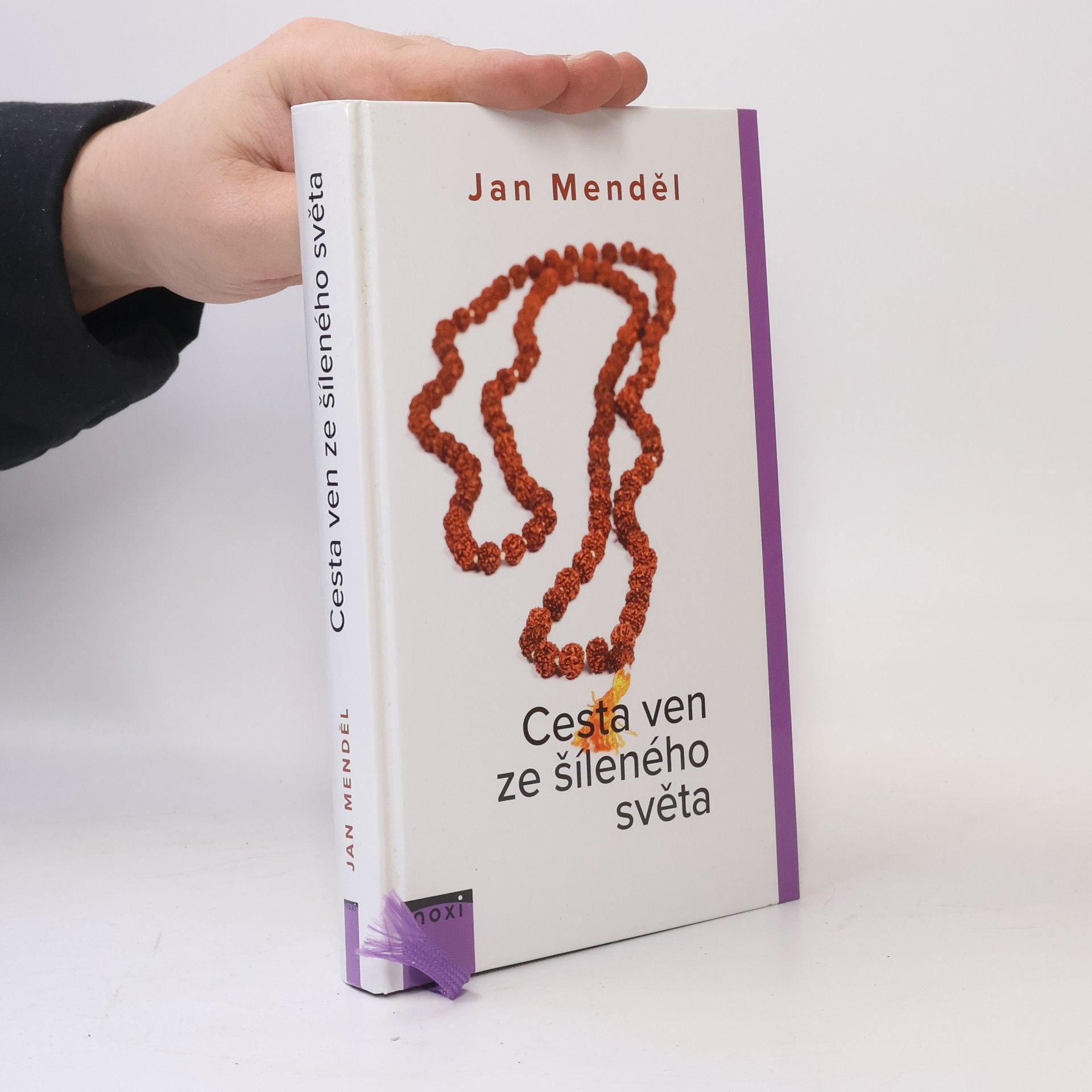 Jan Menděl Cesta ven ze šíleného světa