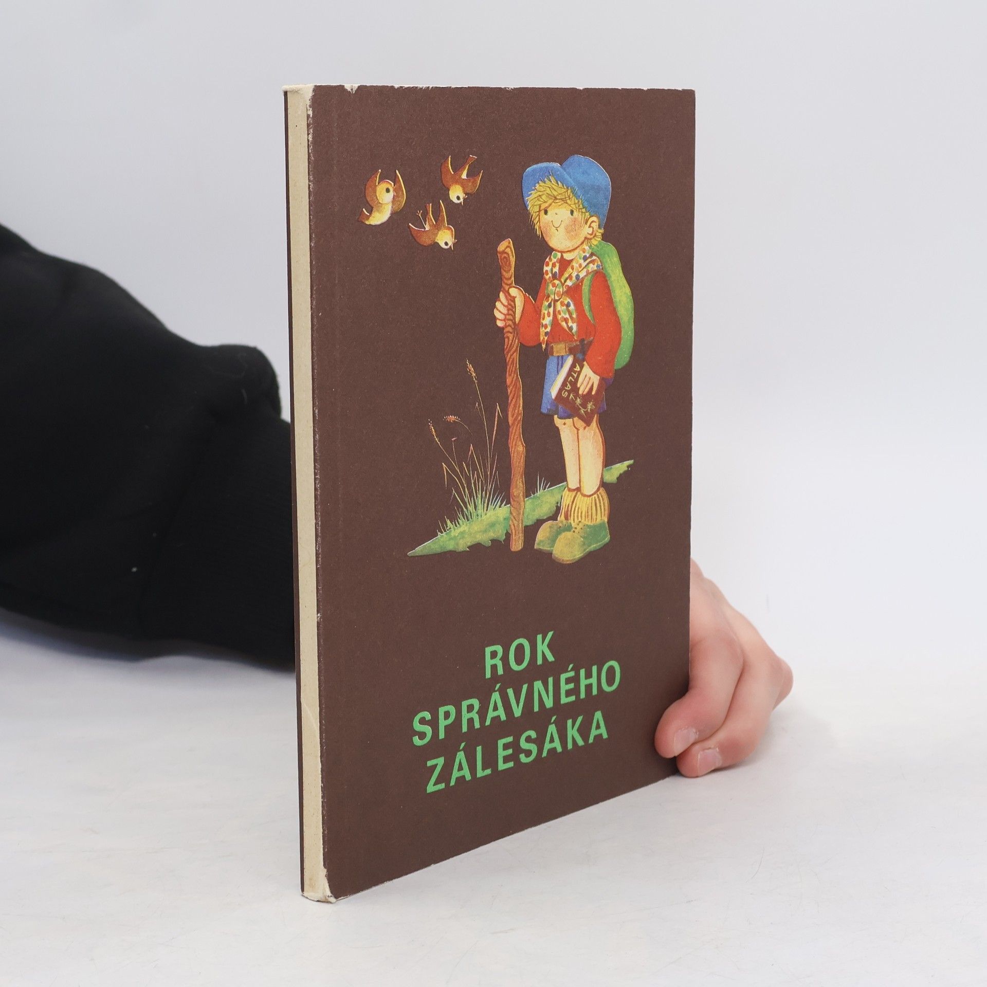 Plicková Edita Rok správného zálesáka