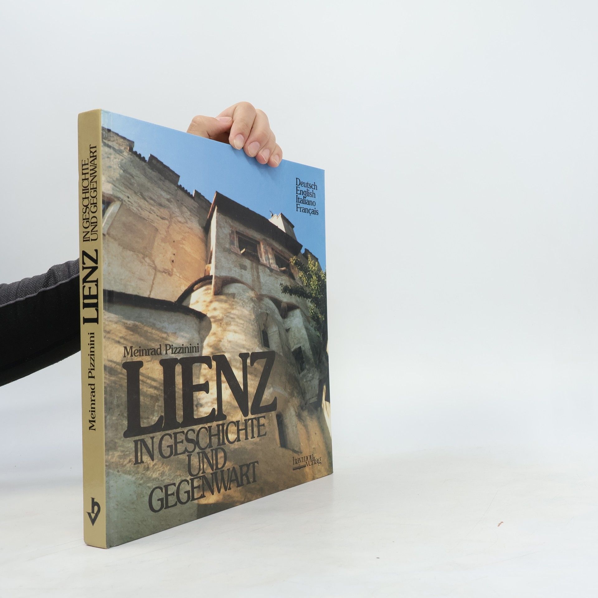 Meinrad Pizzinini Lienz in Geschichte und Gegenwart
