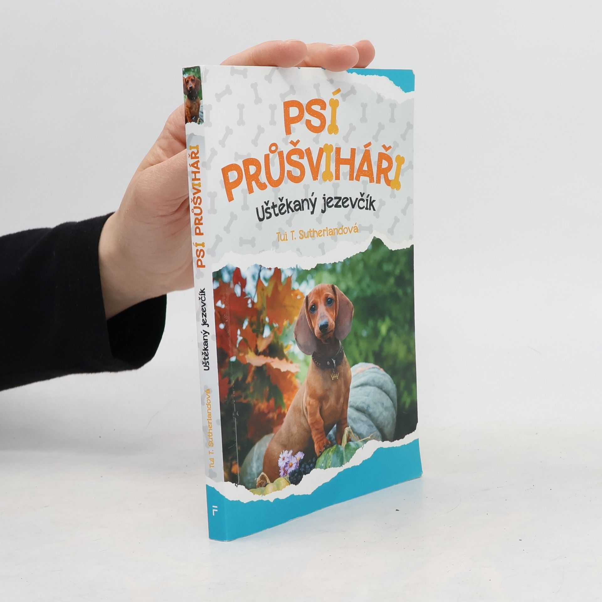 Tui Sutherland Psí průšviháři – Uštěkaný jezevčík
