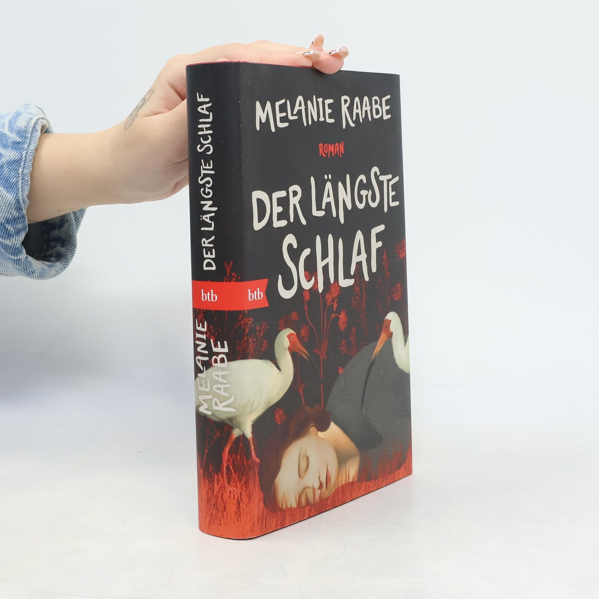 Melanie Raabe Der längste Schlaf. Roman