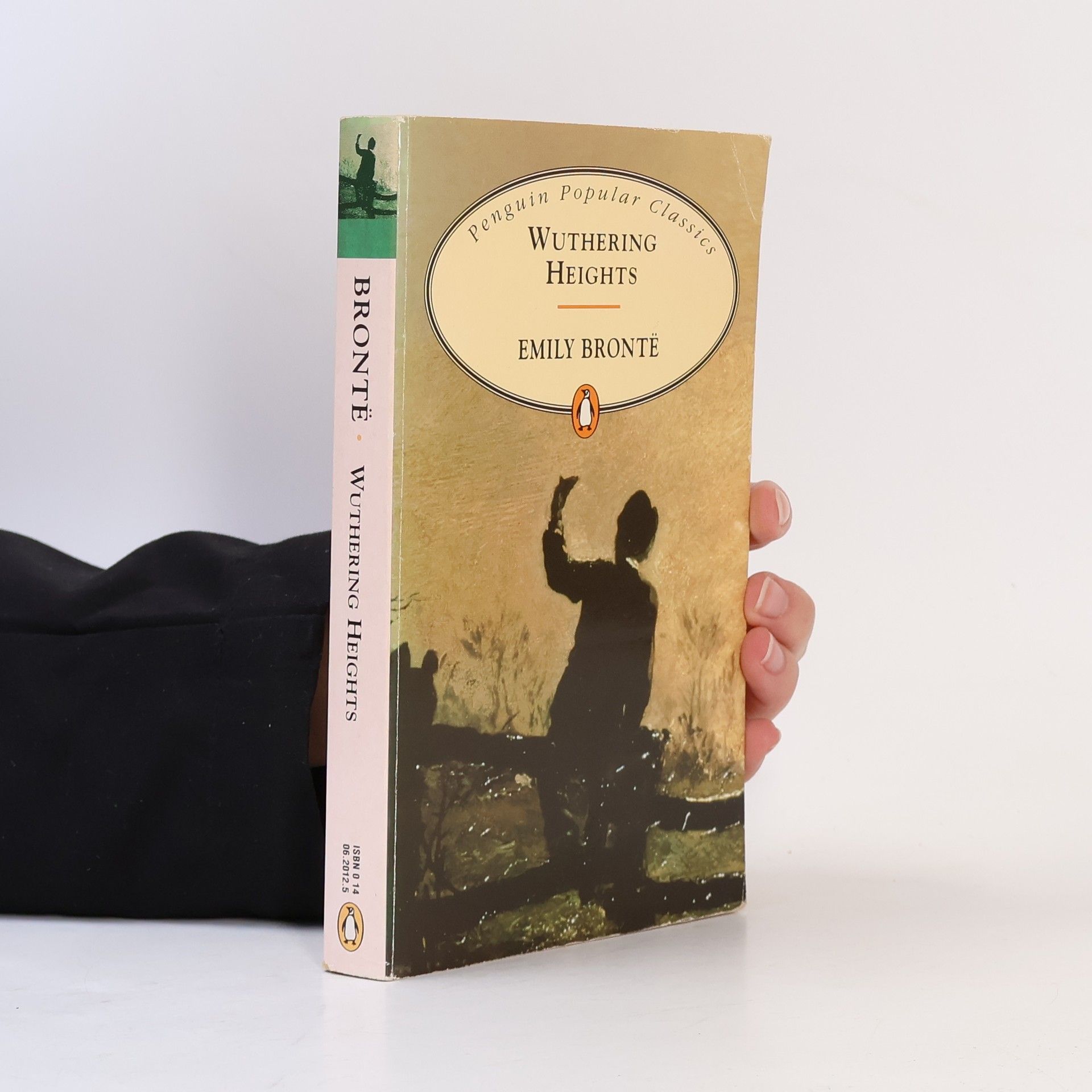 Emily Brontë Wuthering Heights