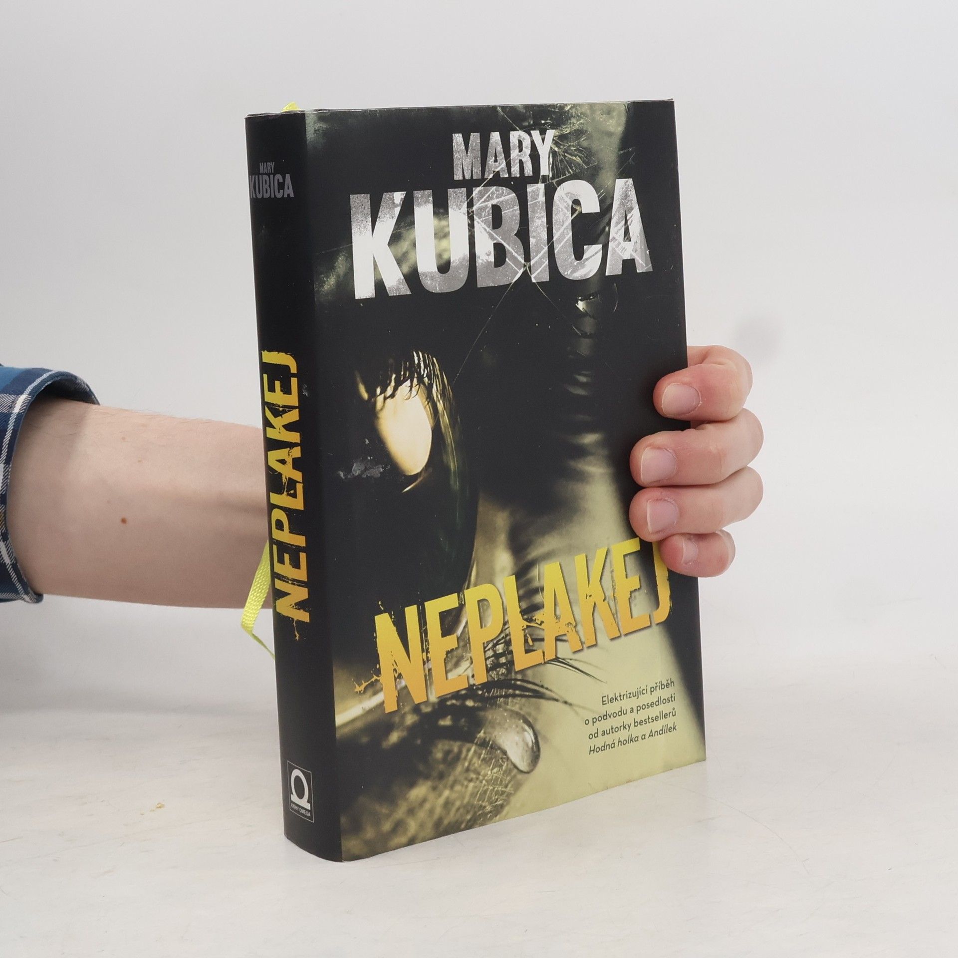 Mary Kubica Neplakej