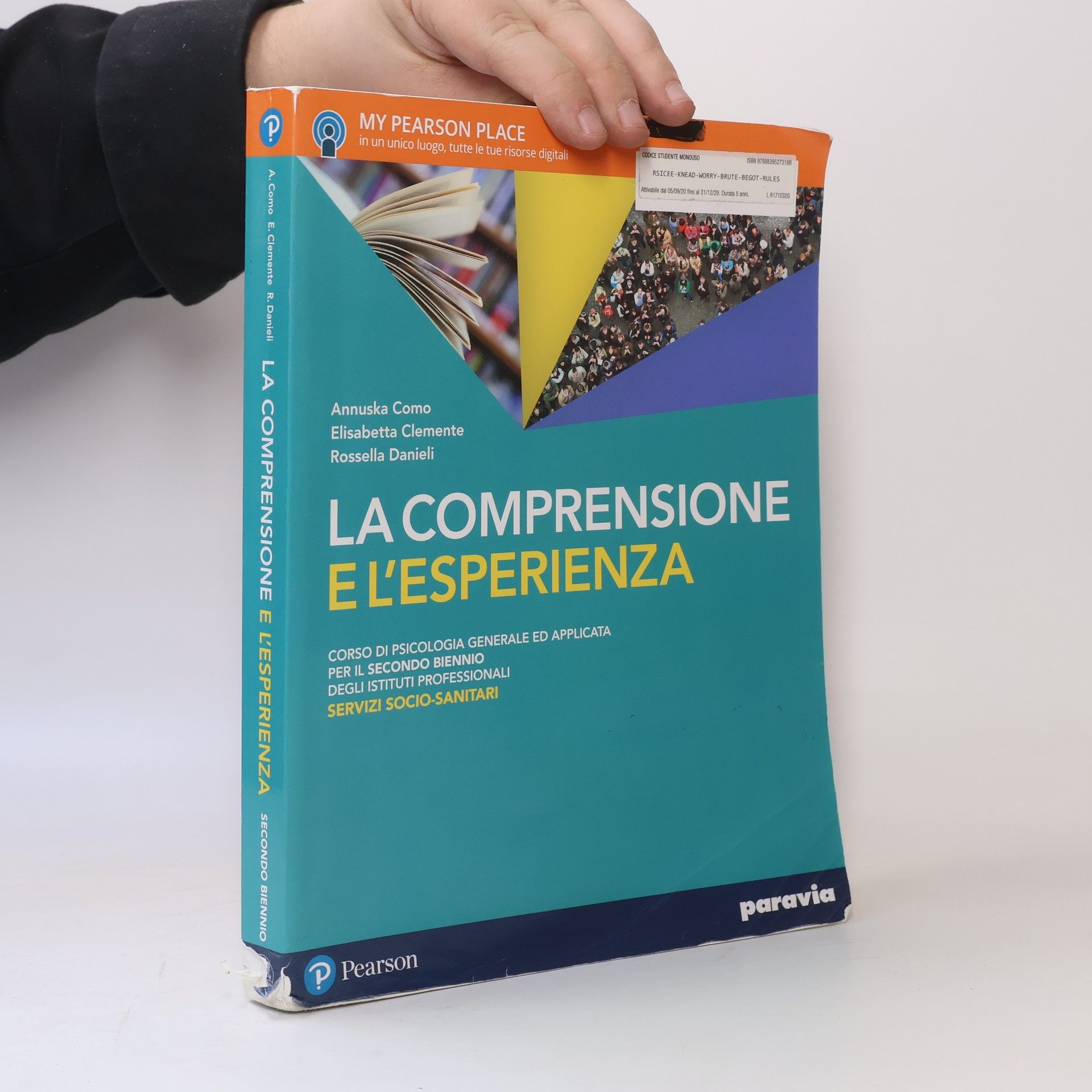 Rosella Danieli La comprensione e l'esperienza
