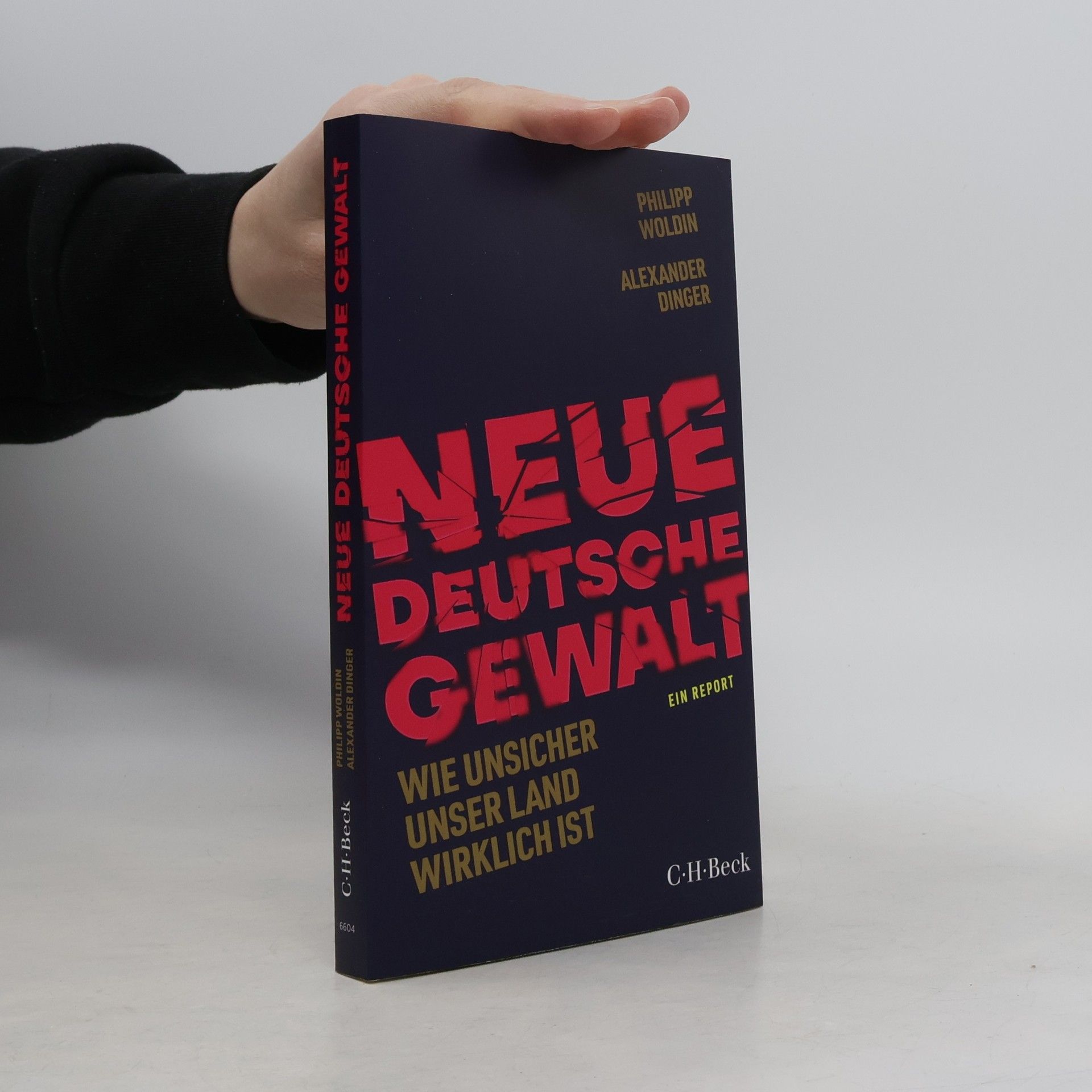 Philipp Woldin Neue deutsche Gewalt