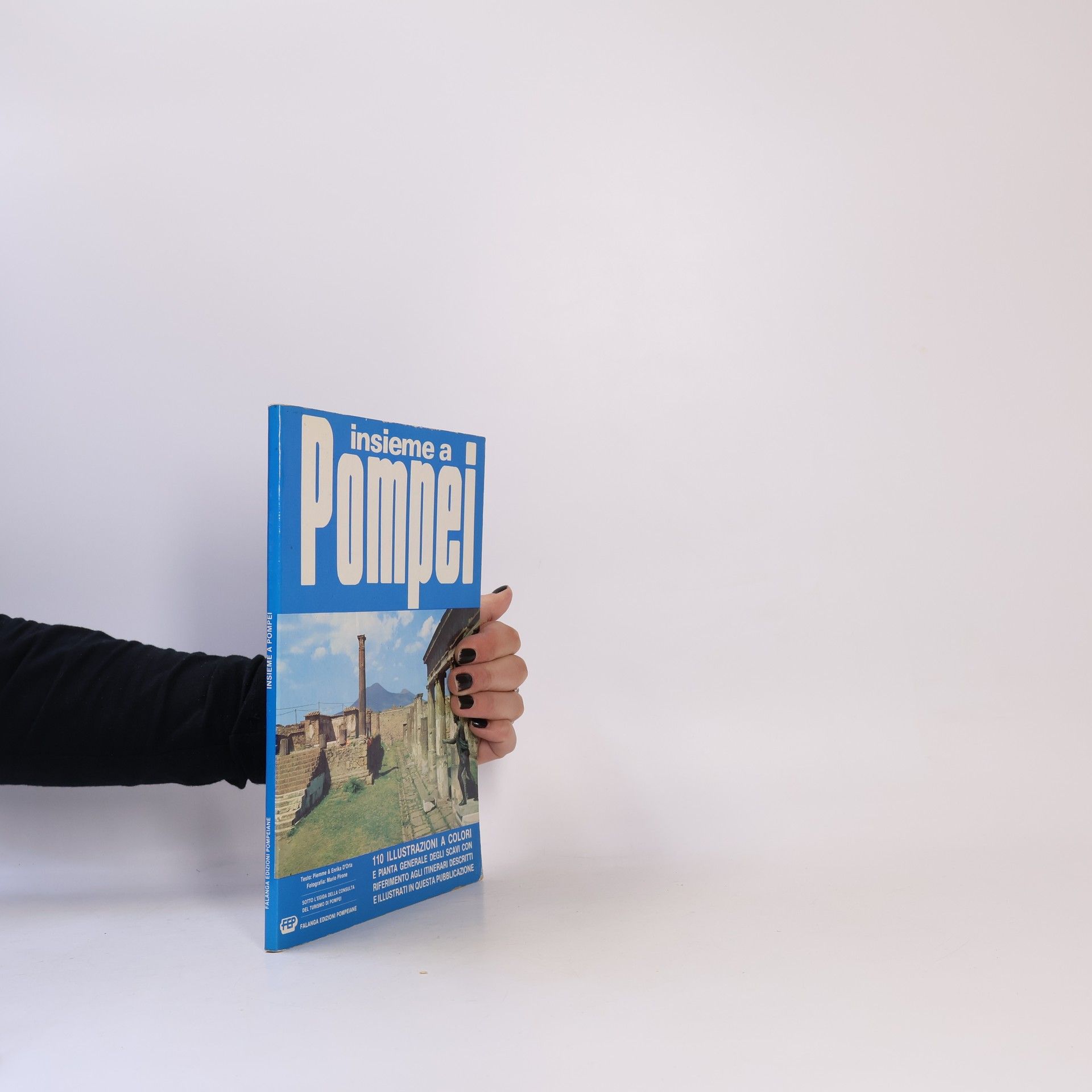 Insieme a Pompei