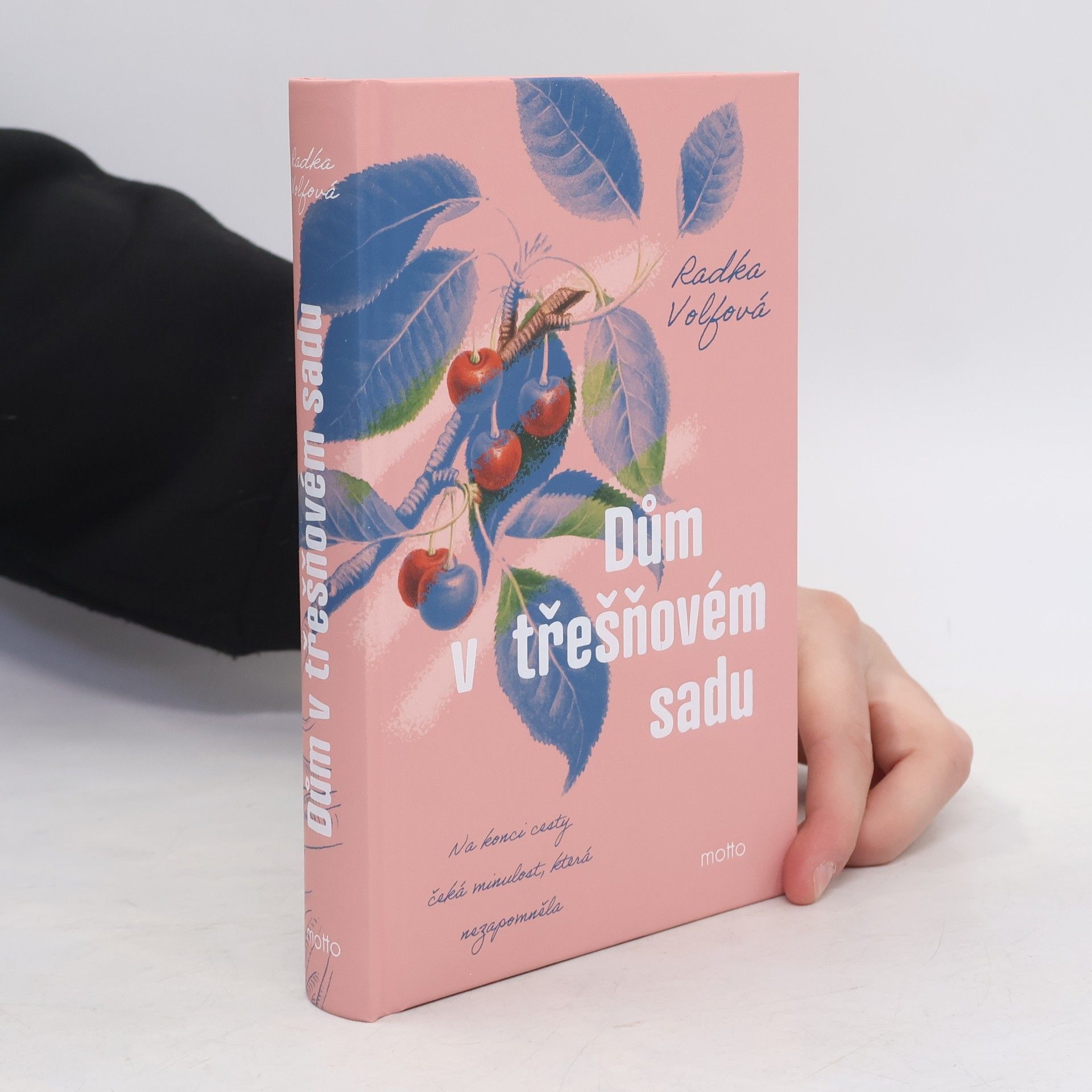 Volfová Radka Dům v třešňovém sadu