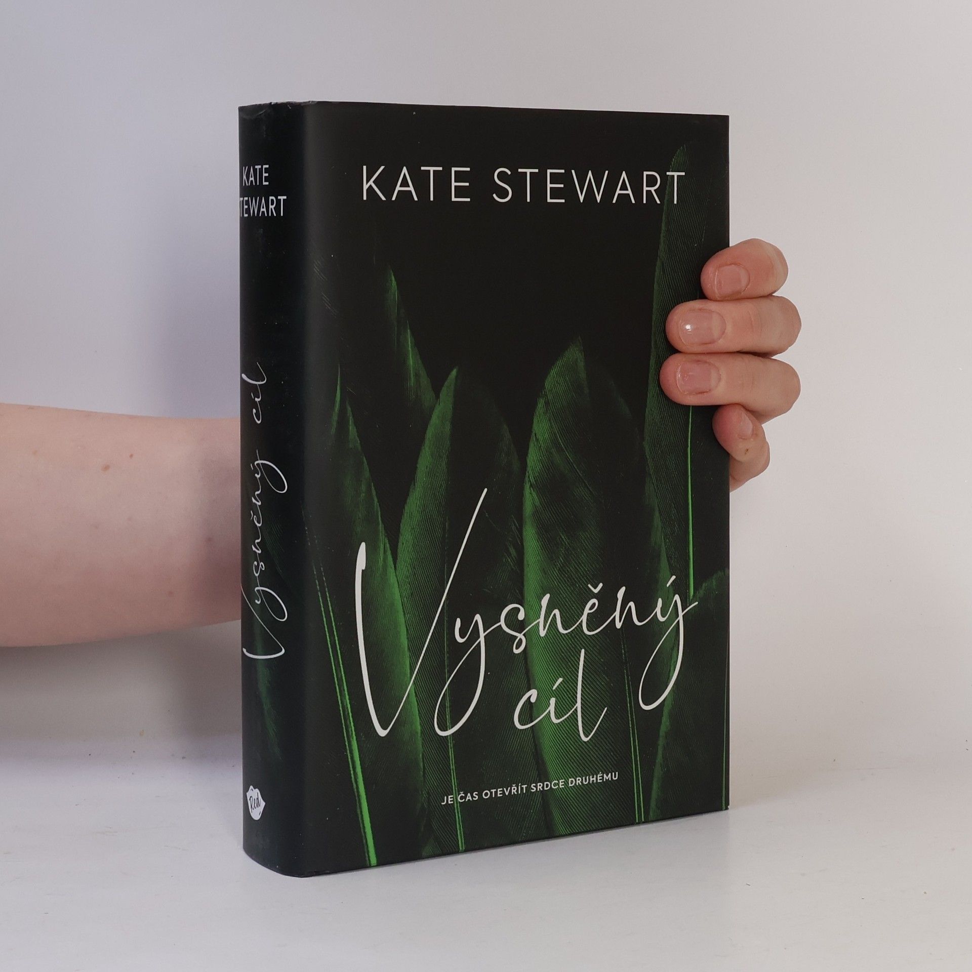 Kate Stewart Vysněný cíl. Kniha třetí