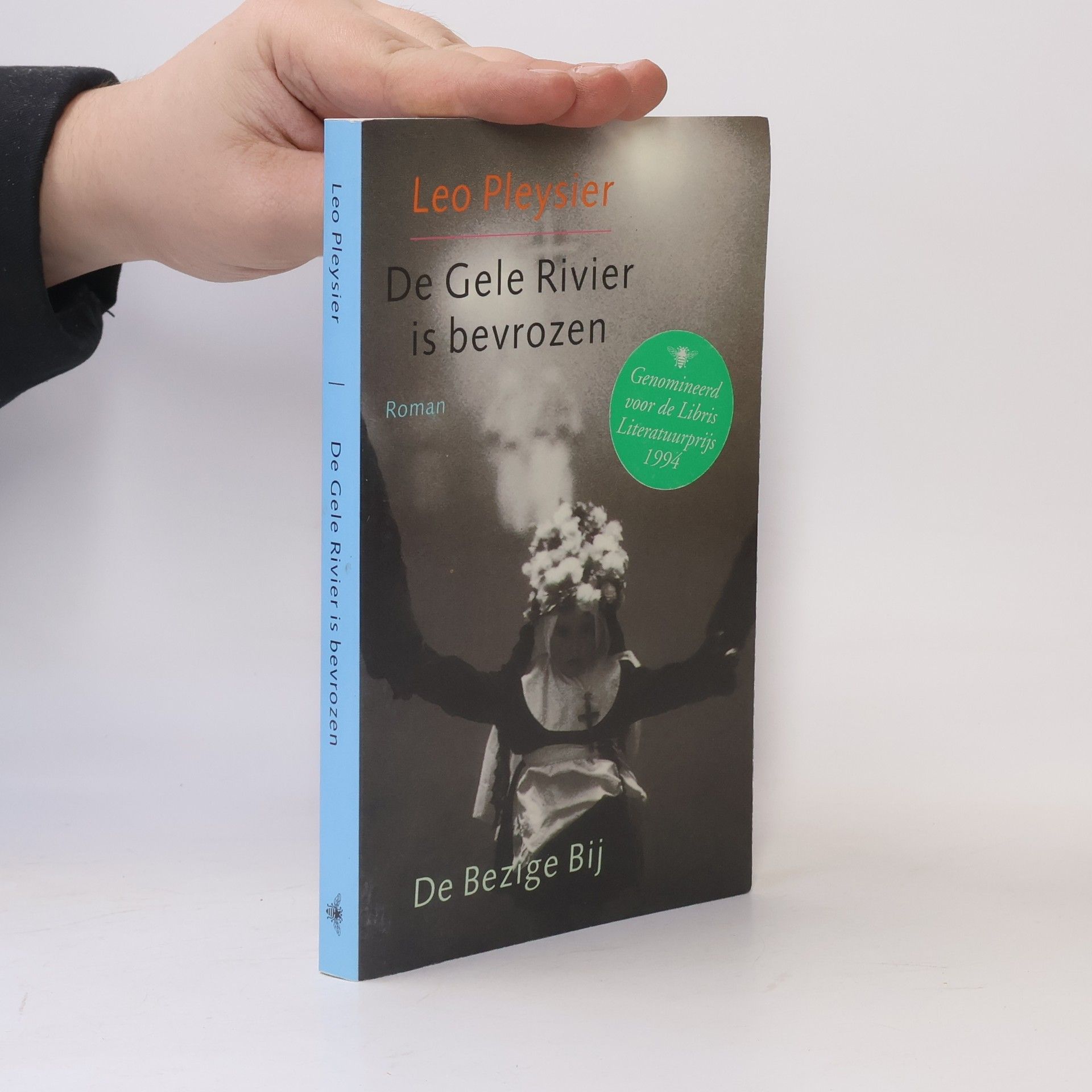 Leo Pleysier De Gele Rivier is bevrozen