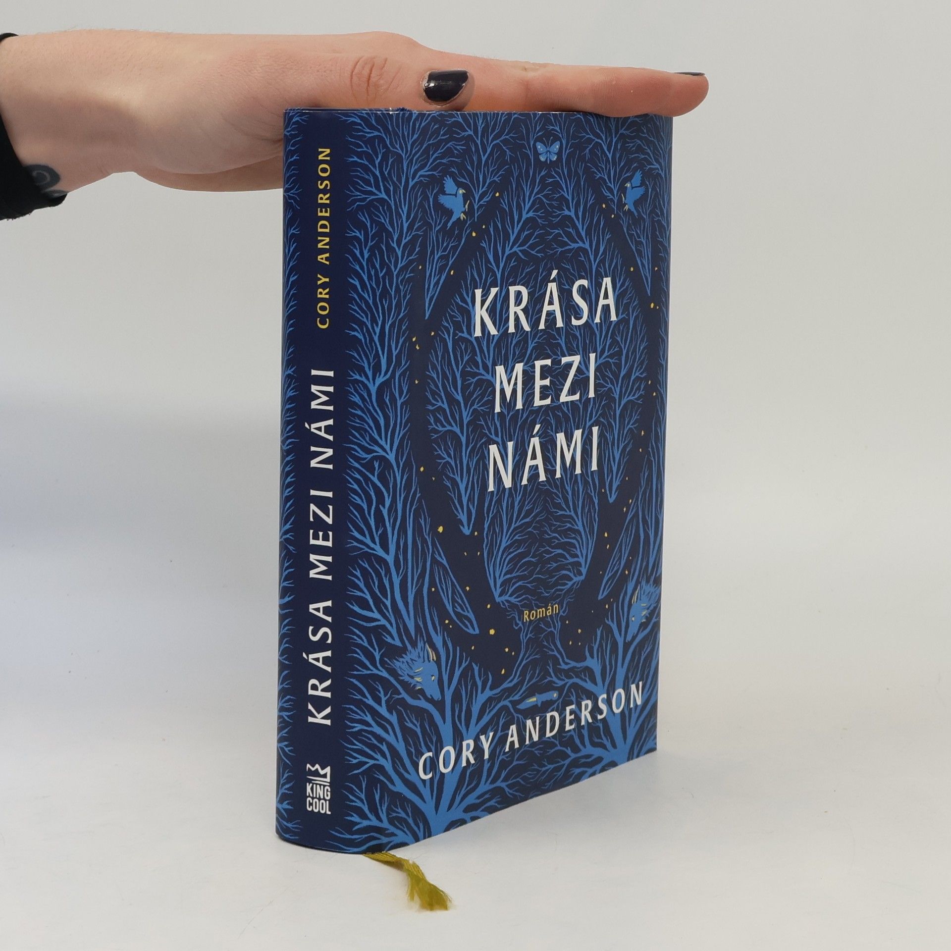 Cory L. Anderson Krása mezi námi