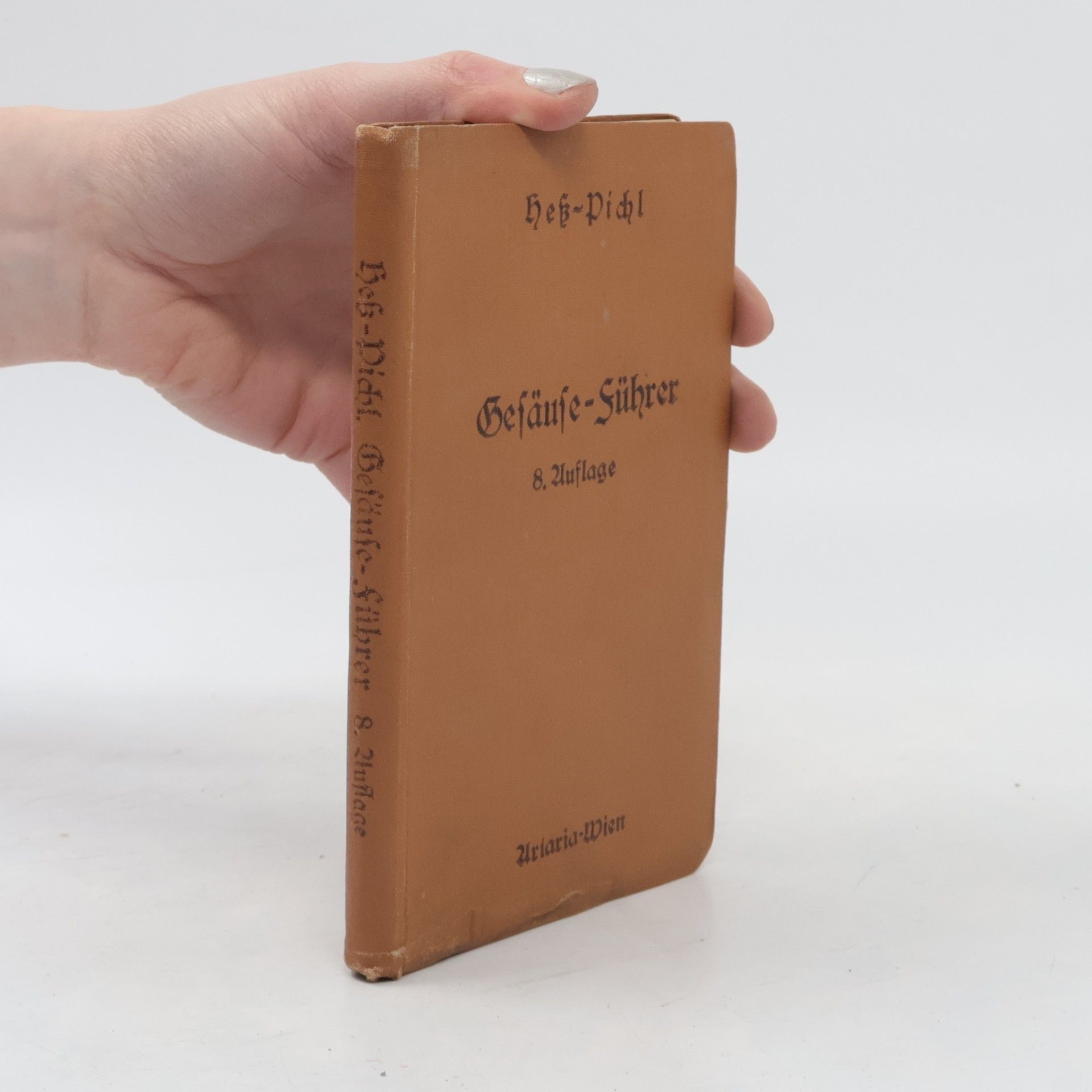 Führer durch das Gesäuse und durch die Ennstaler Gebirge zwischen Admont und Eisenerz