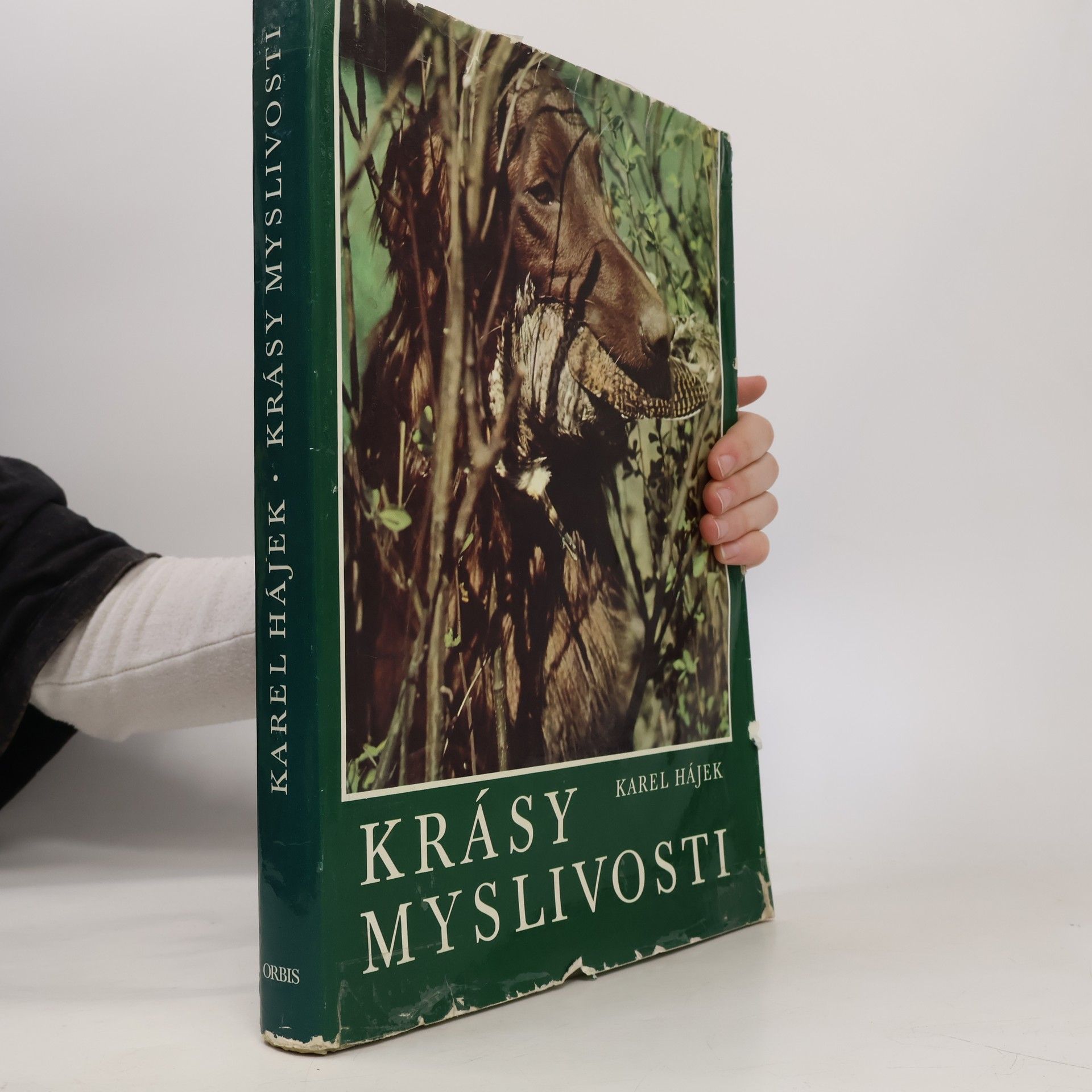 Karel Hájek Krásy myslivosti