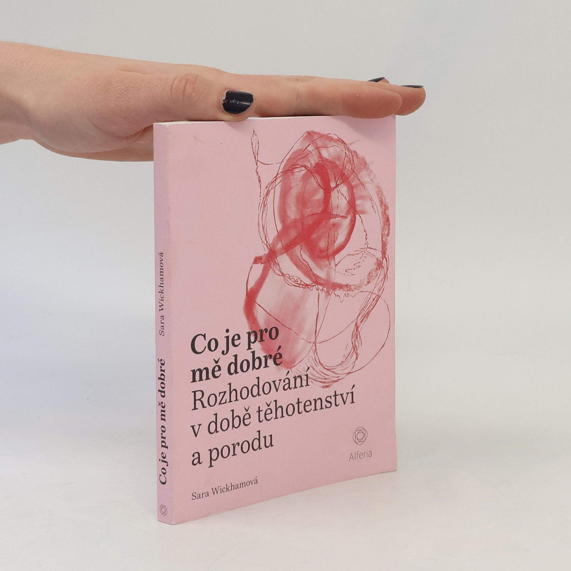 Co je pro mě dobré : rozhodování v době těhotenství a porodu