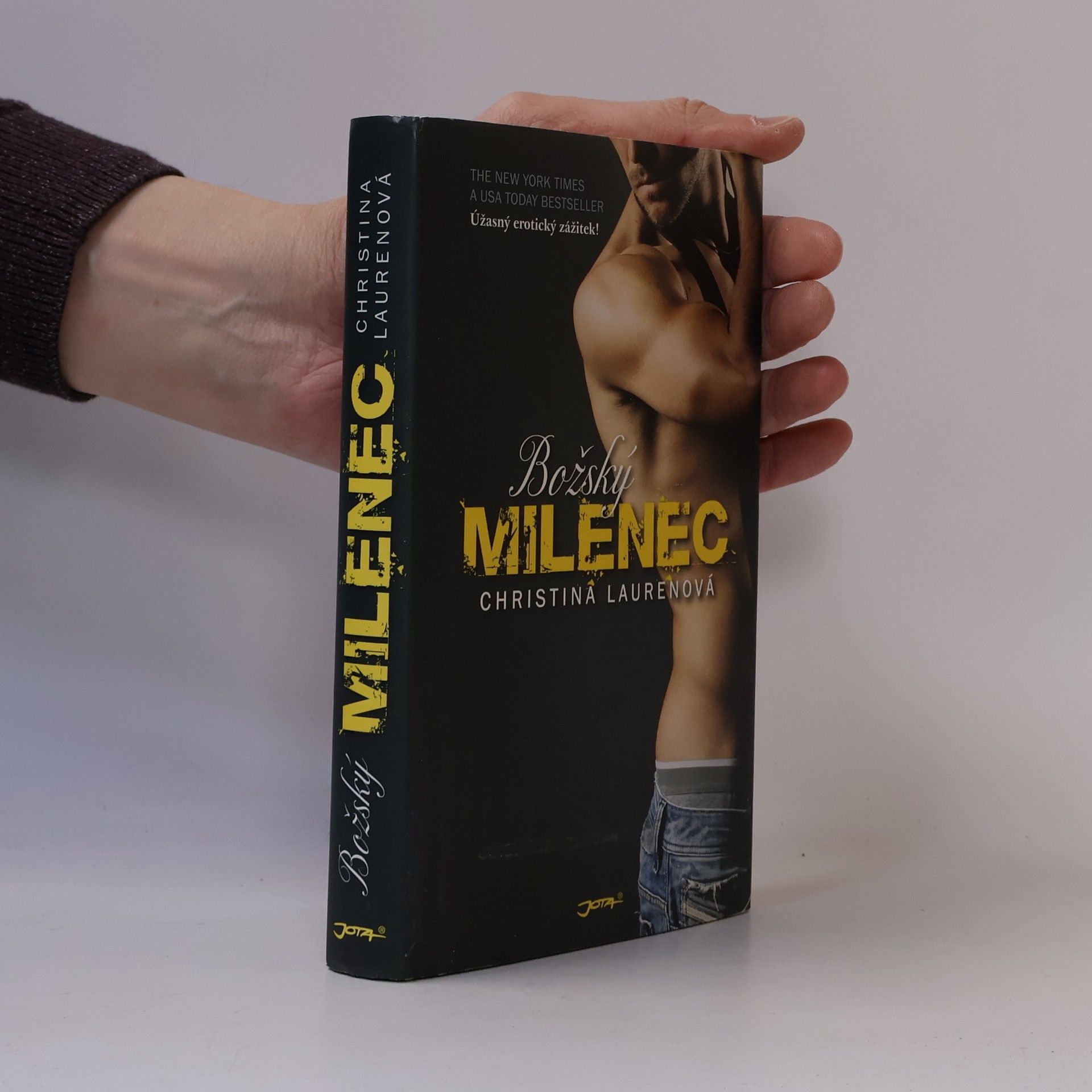 Christina Laurenová Božský milenec