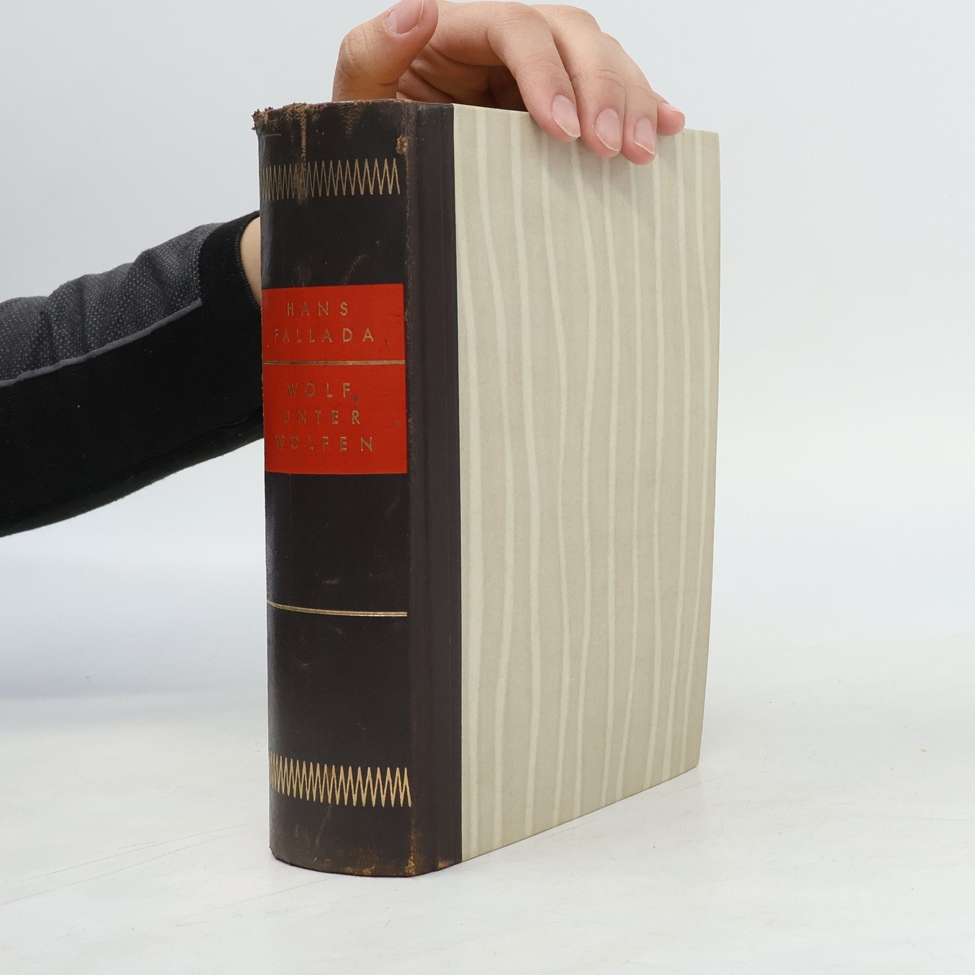 Hans Fallada Wolf unter Wölfen. Erster Teil, Die Stadt und ihre Ruhelosen