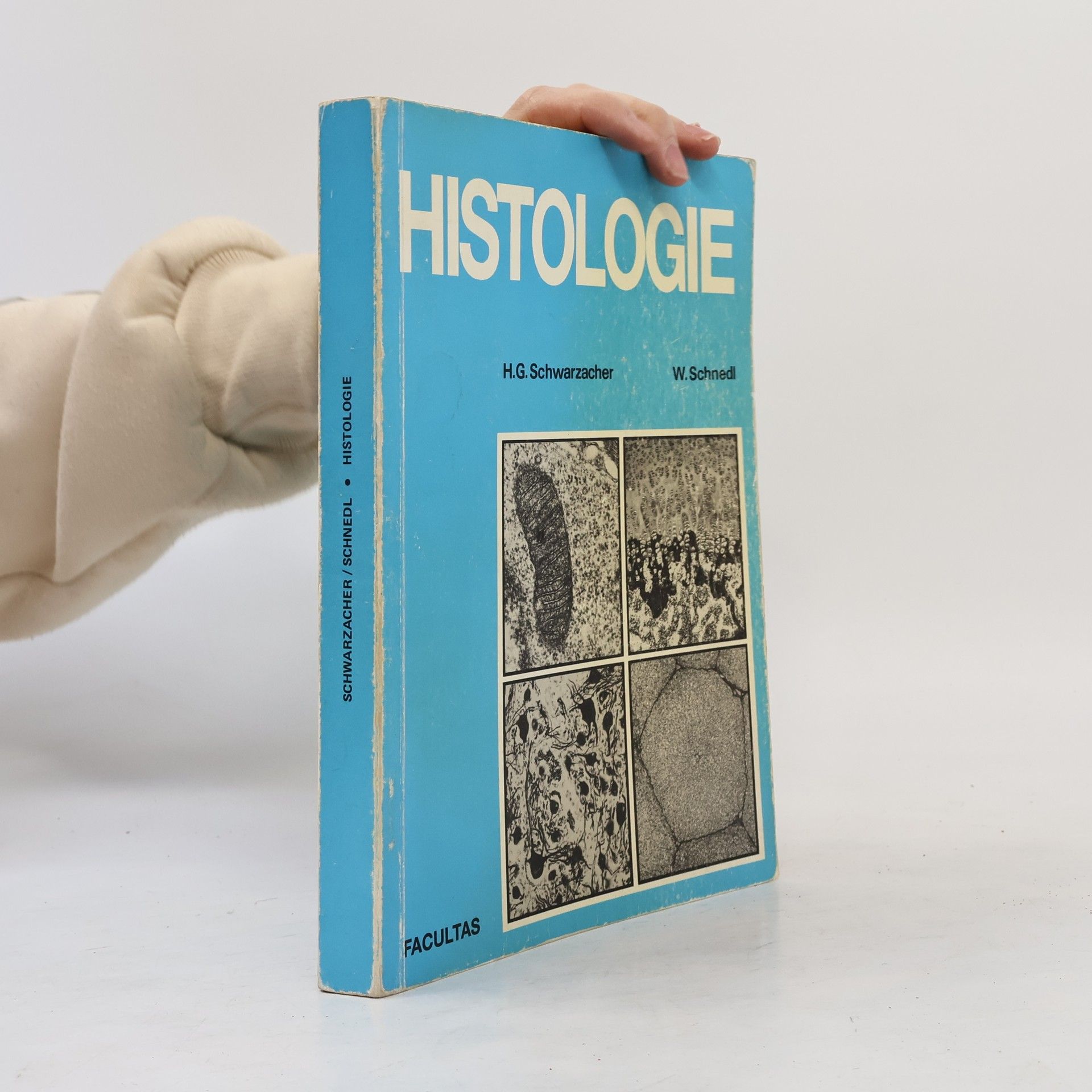 Hans Georg Schwarzacher Histologie