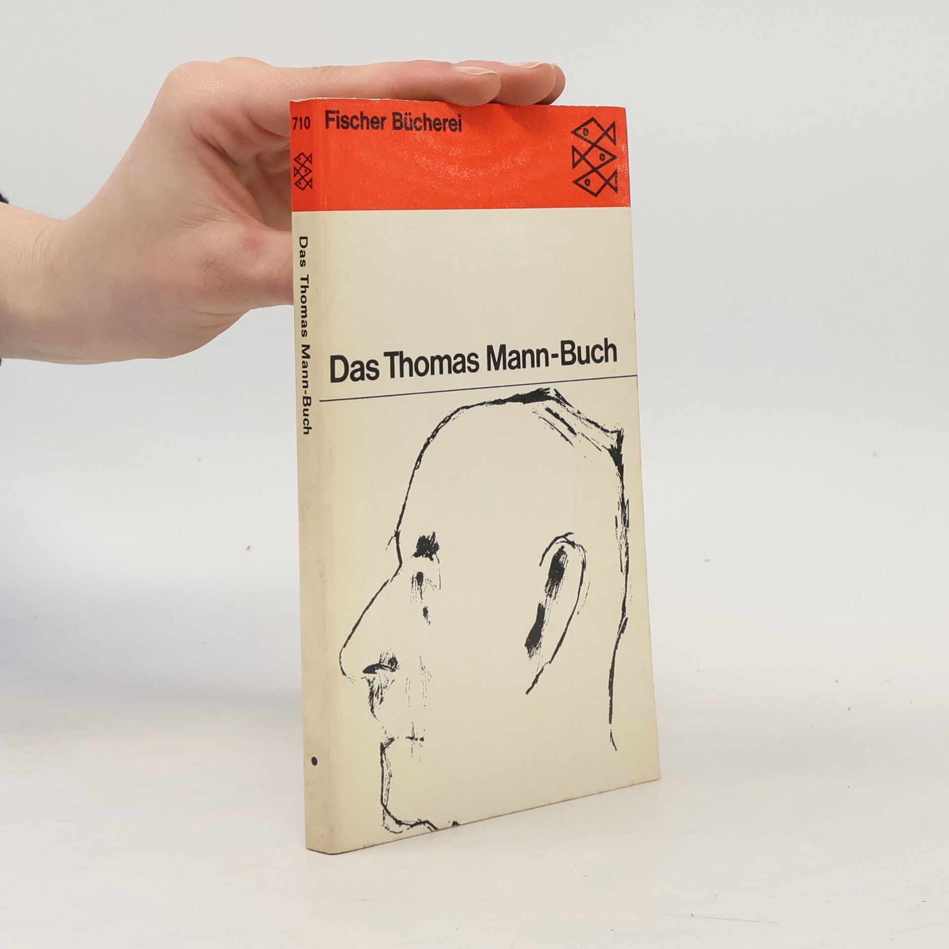 Auteurscollectief Das Thomas Mann-Buch