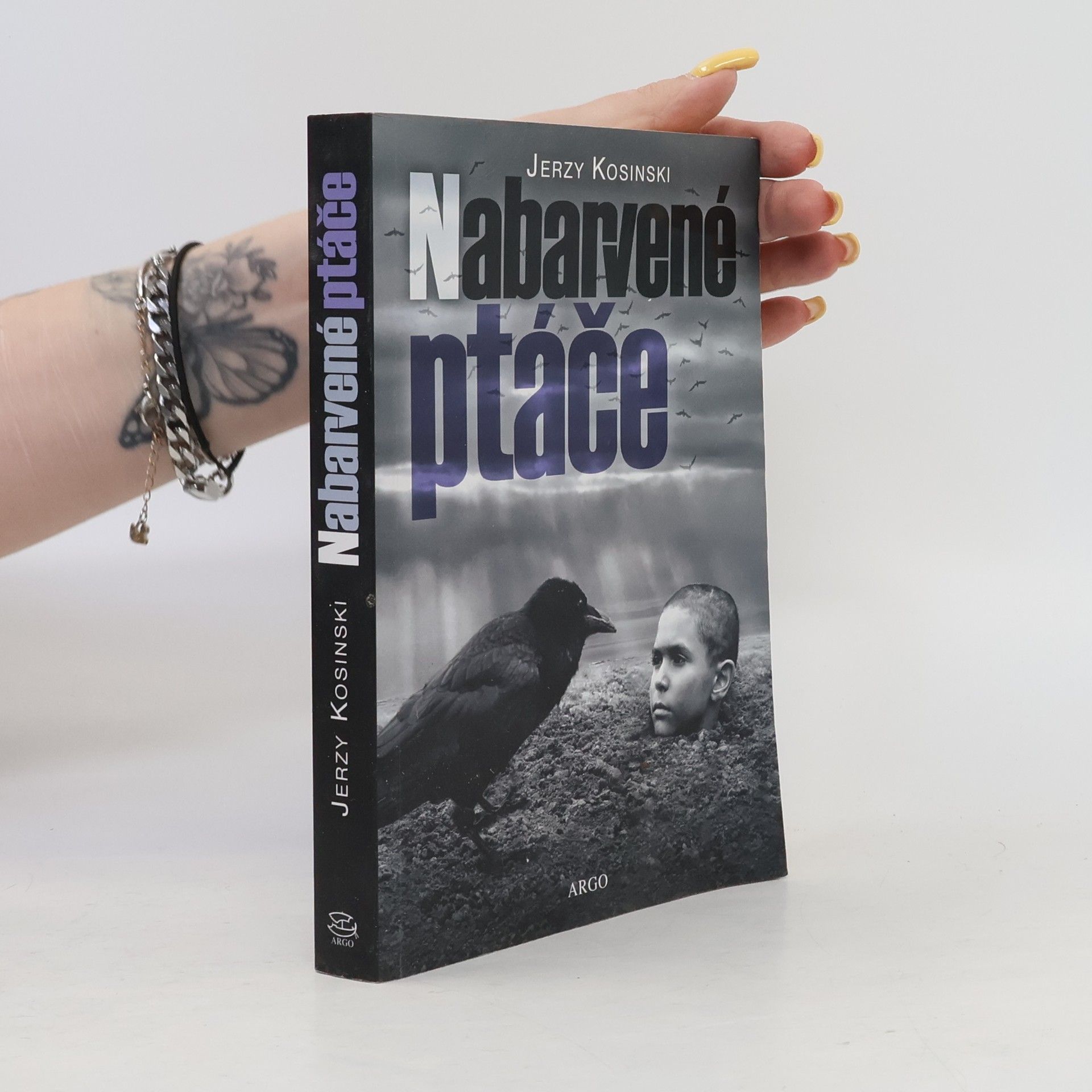Jerzy Kosinski Nabarvené ptáče