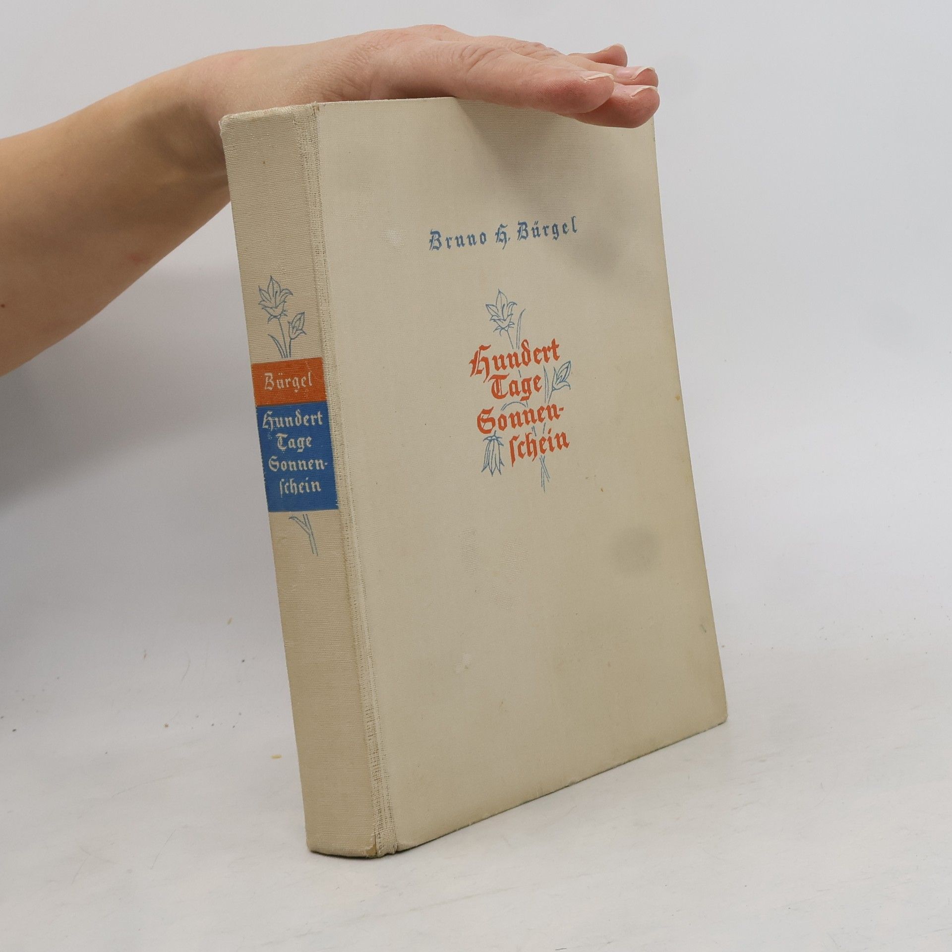 Hundert Tage Sonnenschein