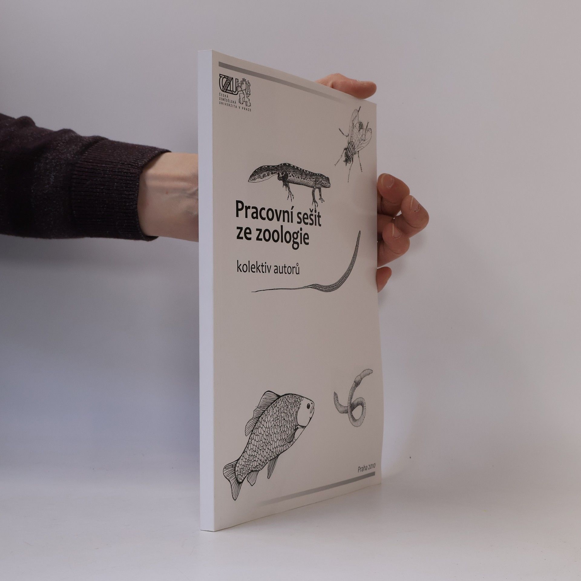 Kolektiv autorů Pracovní sešit ze zoologie