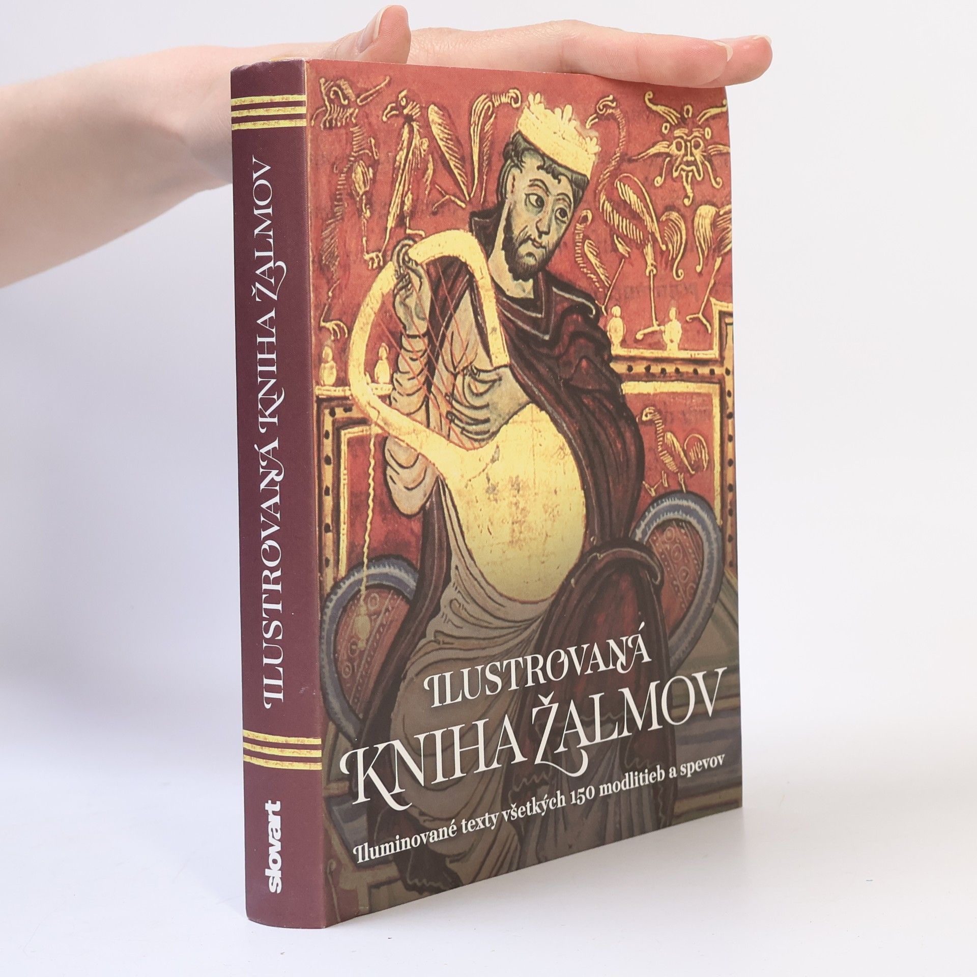 Kolektiv autorů Ilustrovaná Kniha žalmov