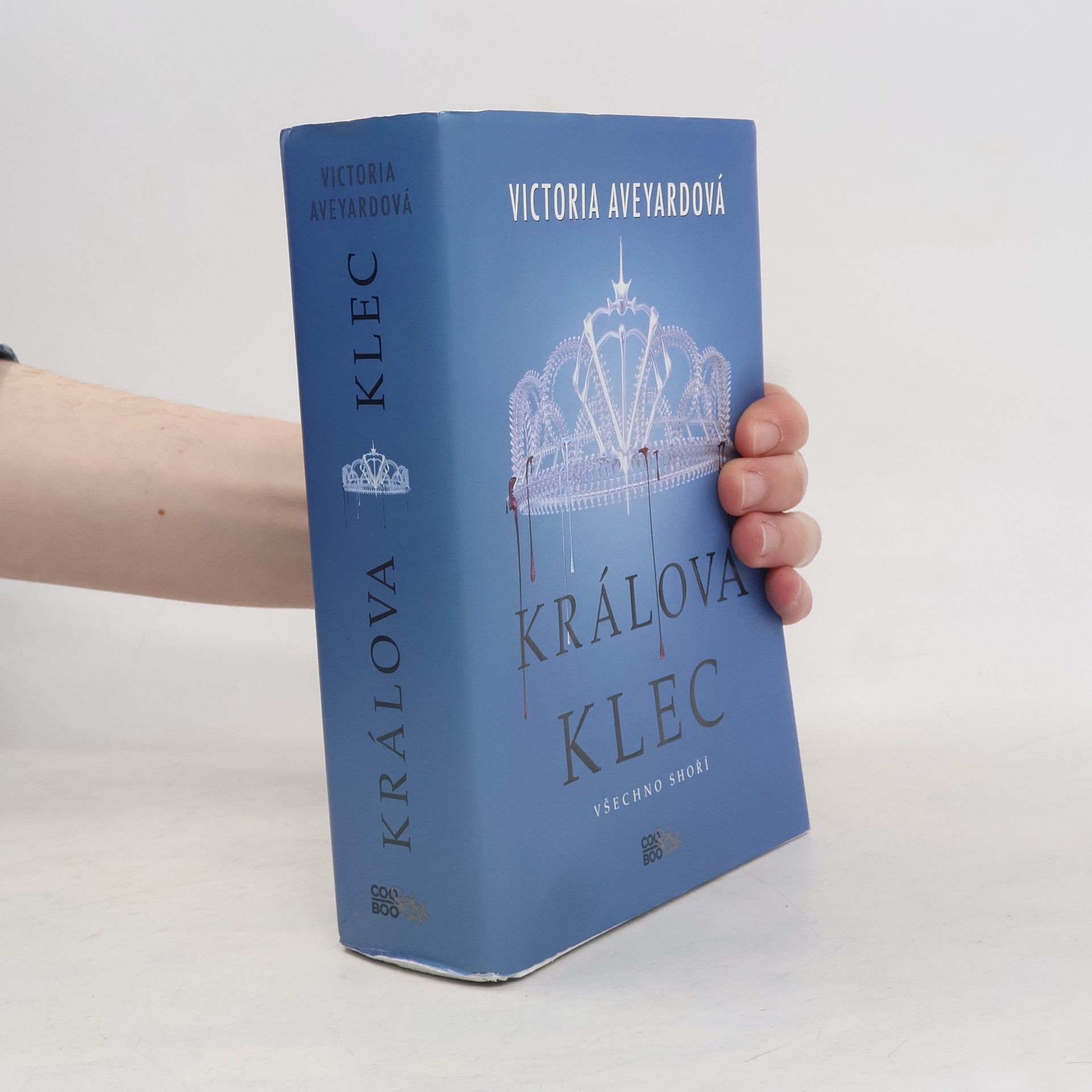 Victoria Aveyard Králova klec