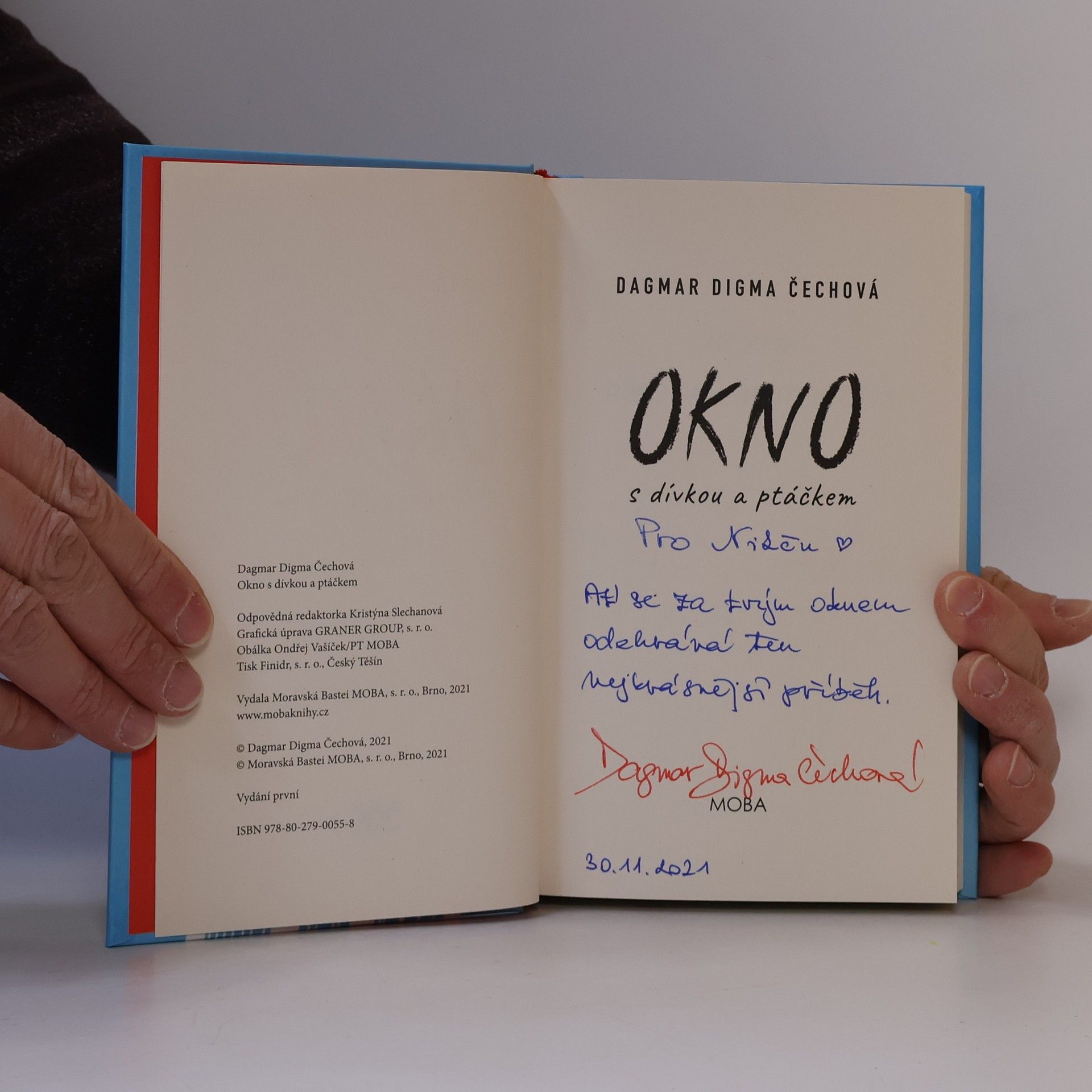 Dagmar Digma Čechová Okno s dívkou a ptáčkem