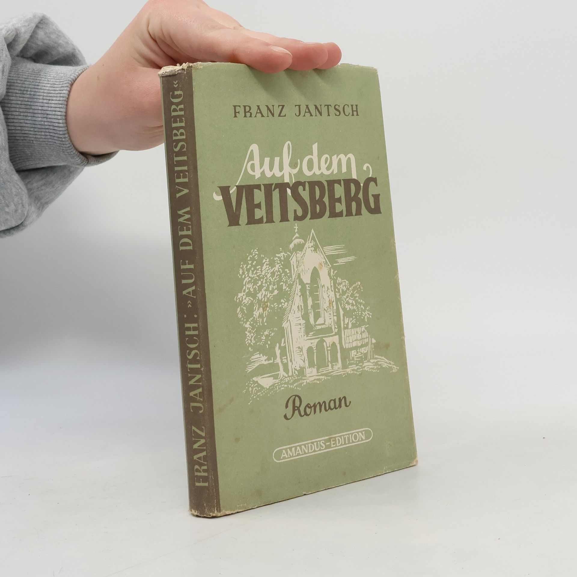 Franz Jantsch Auf dem Veitsberg