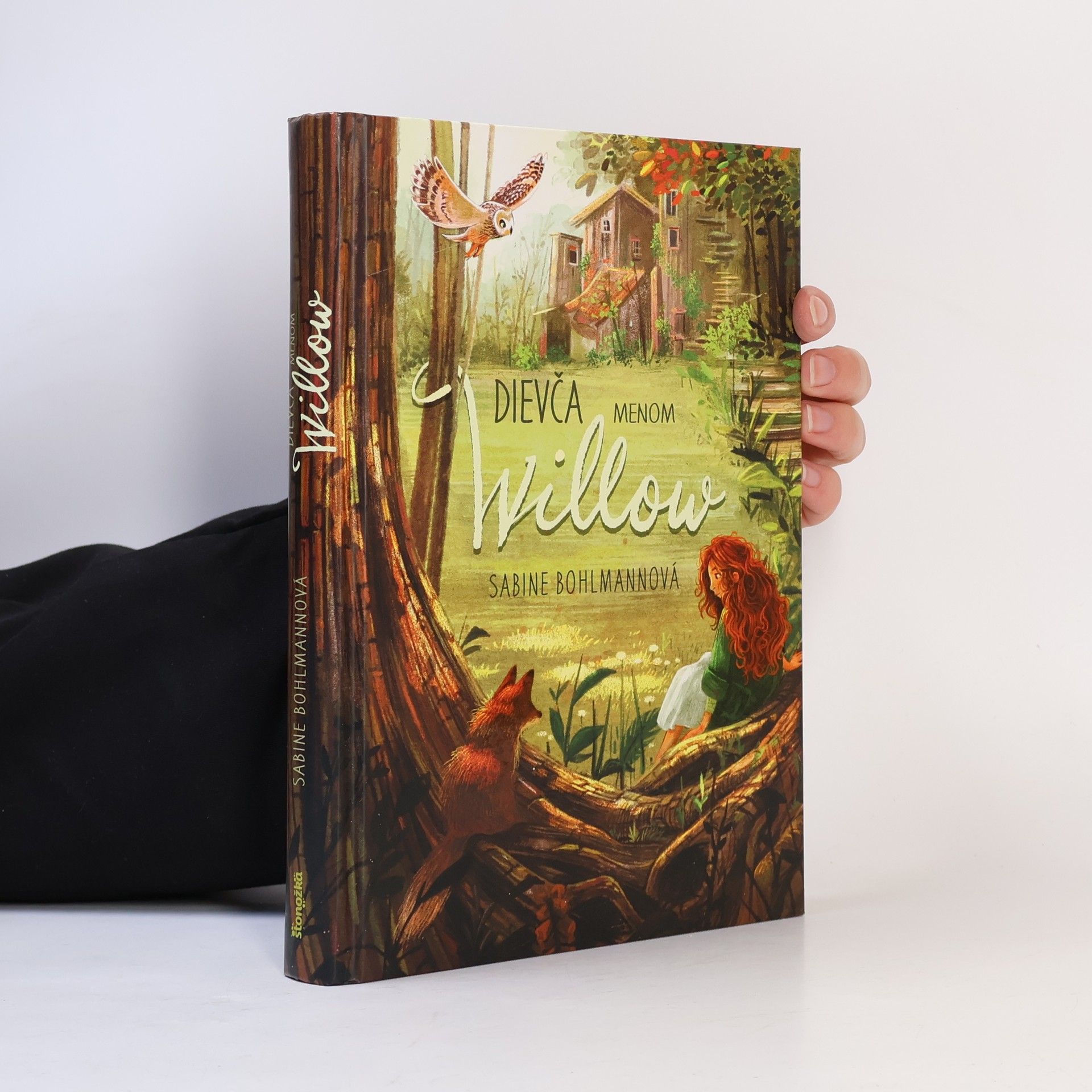 Sabine Bohlmann Dievča menom Willow