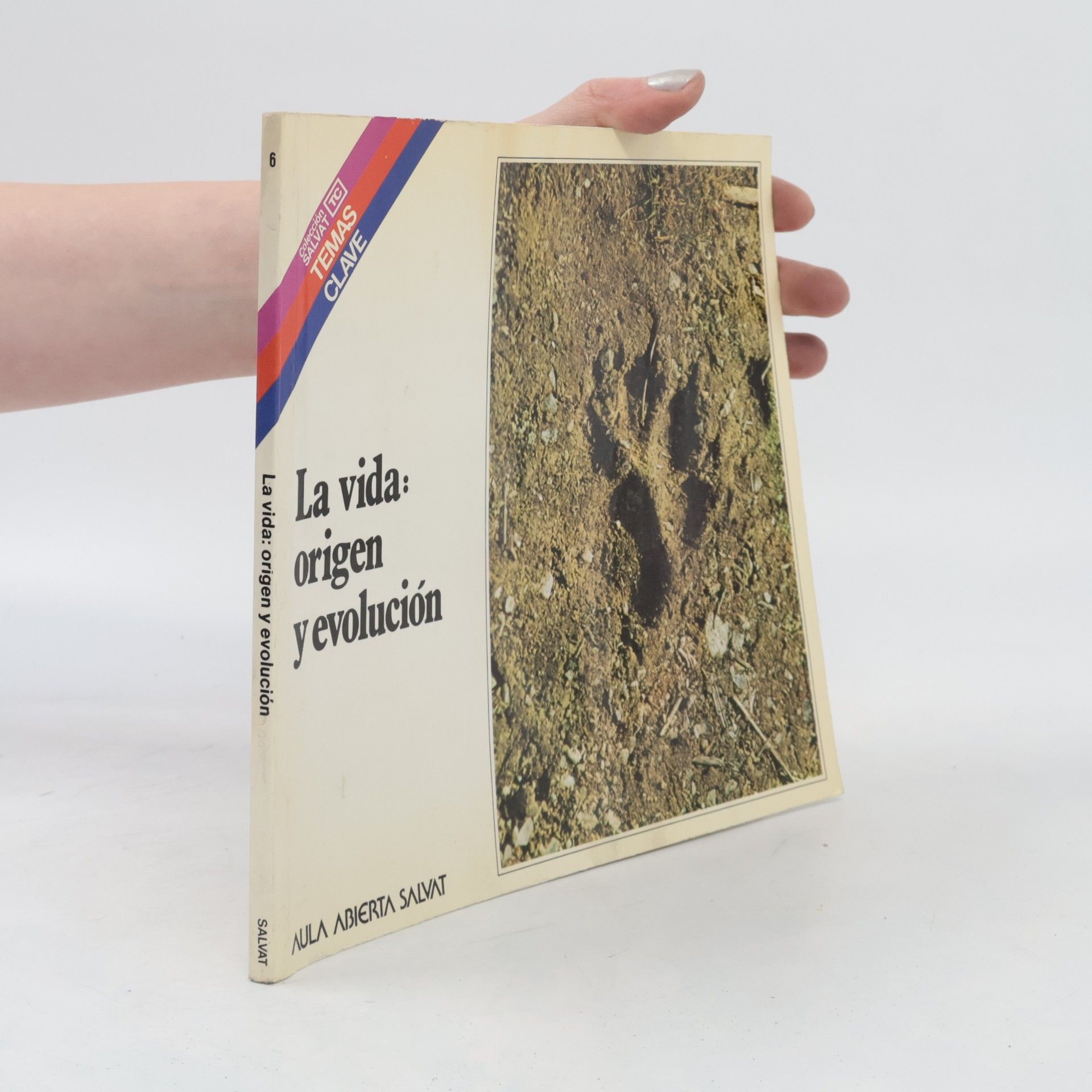 La literatura hispanoamericana
