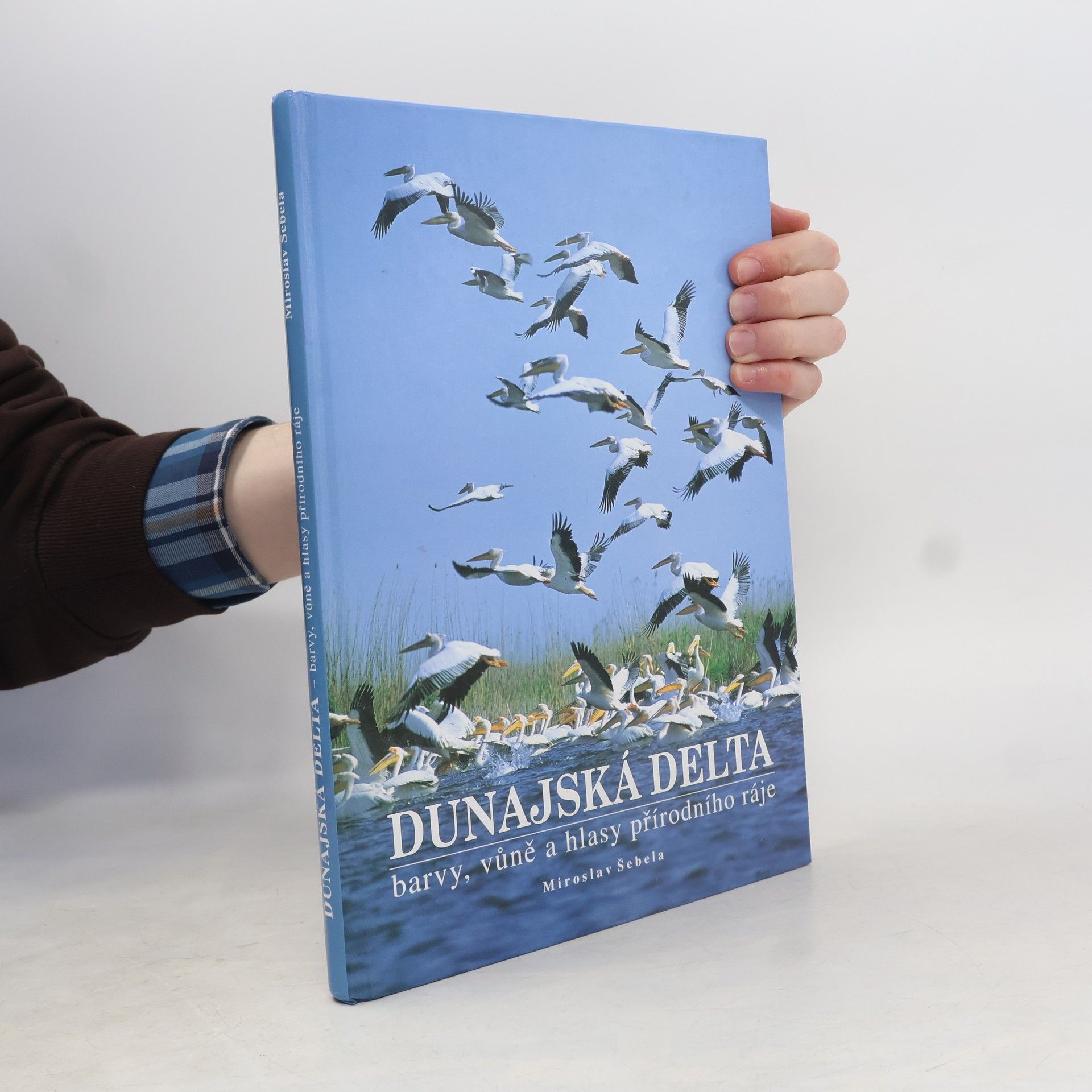 Miroslav Šebela Dunajská delta