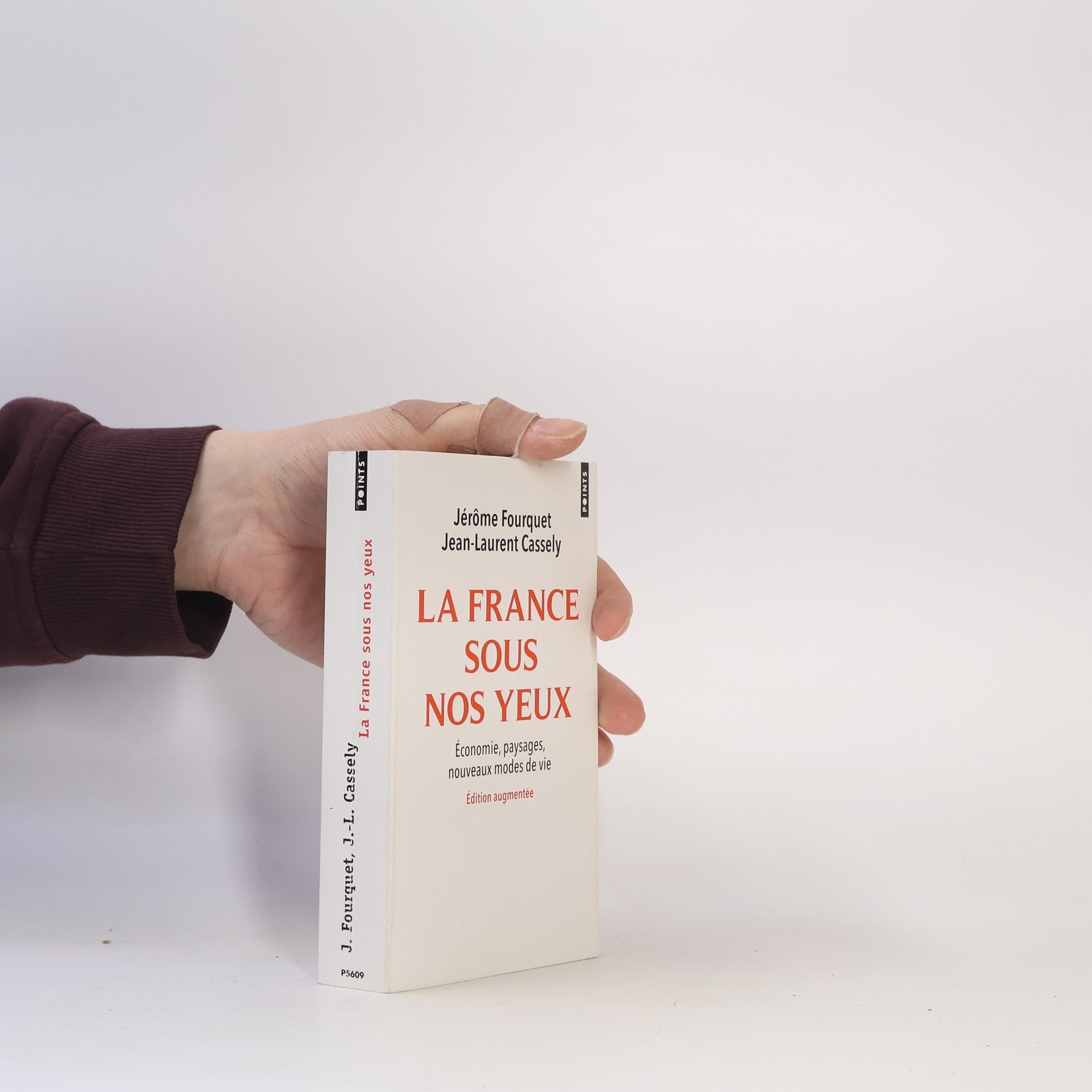 Jérôme Fourquet La France sous nos yeux