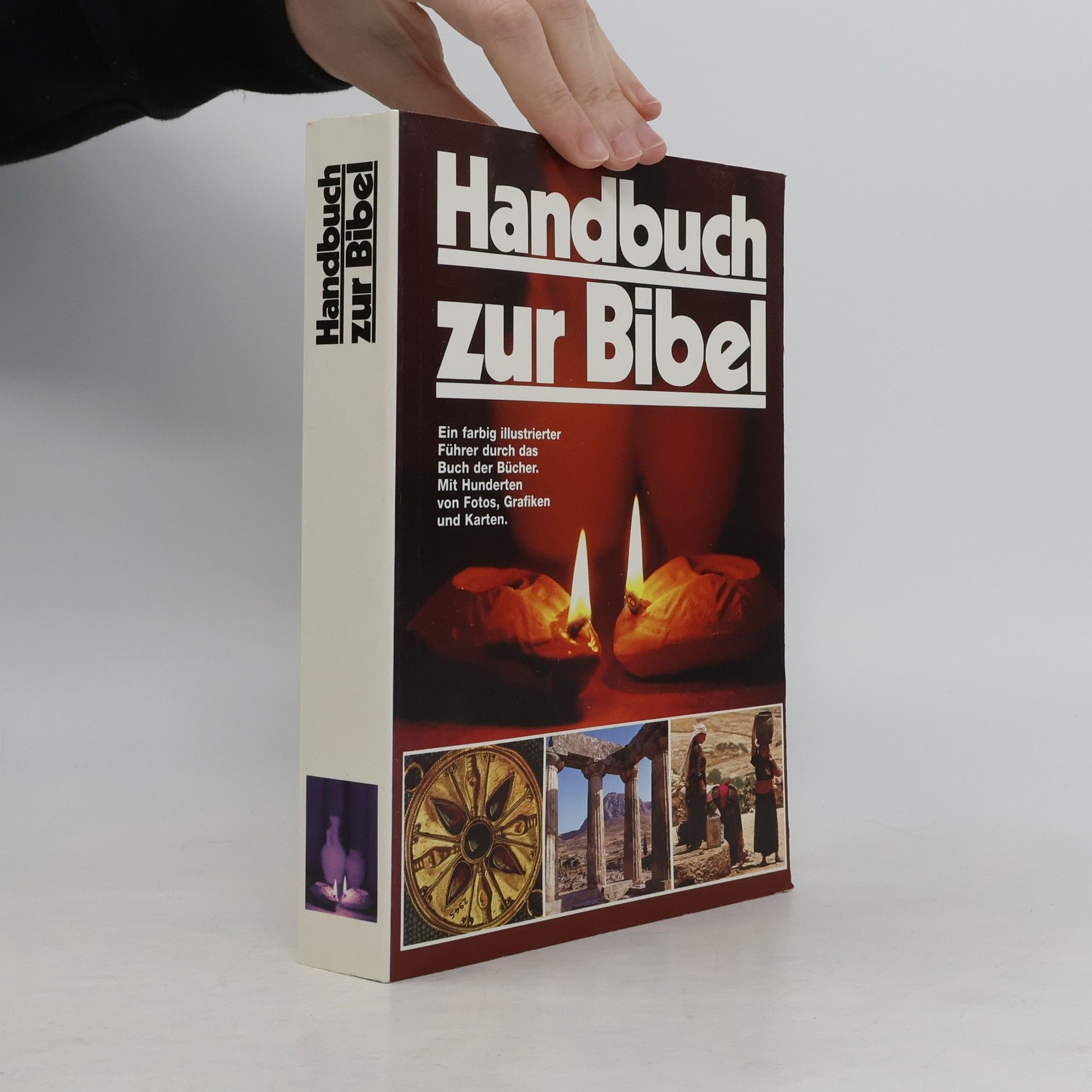 David Alexander Handbuch zur Bibel