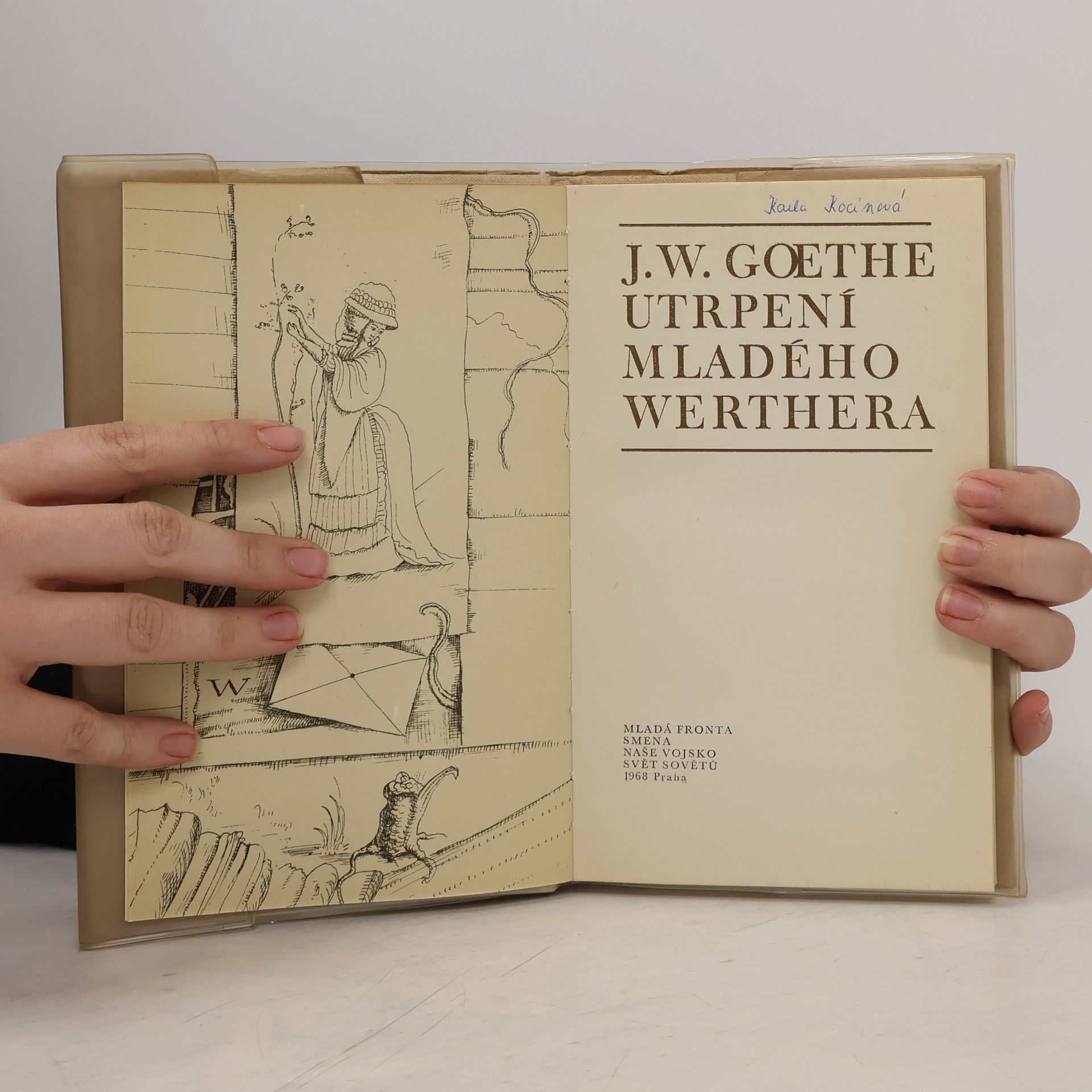 Johann Wolfgang von Goethe Utrpení mladého Werthera