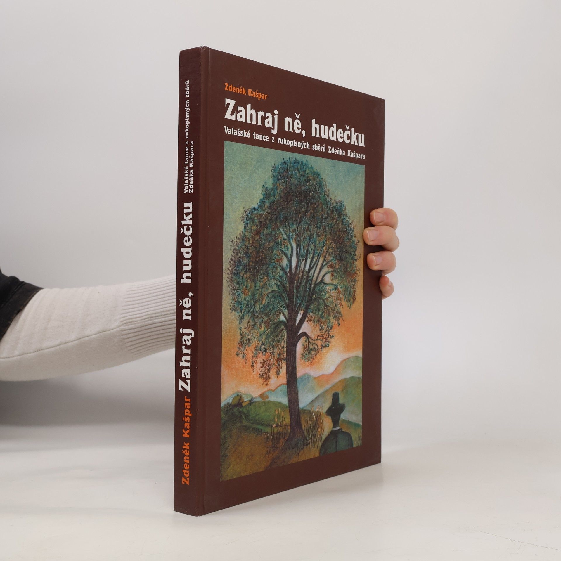 Zdeněk Kašpar Zahraj ně, hudečku